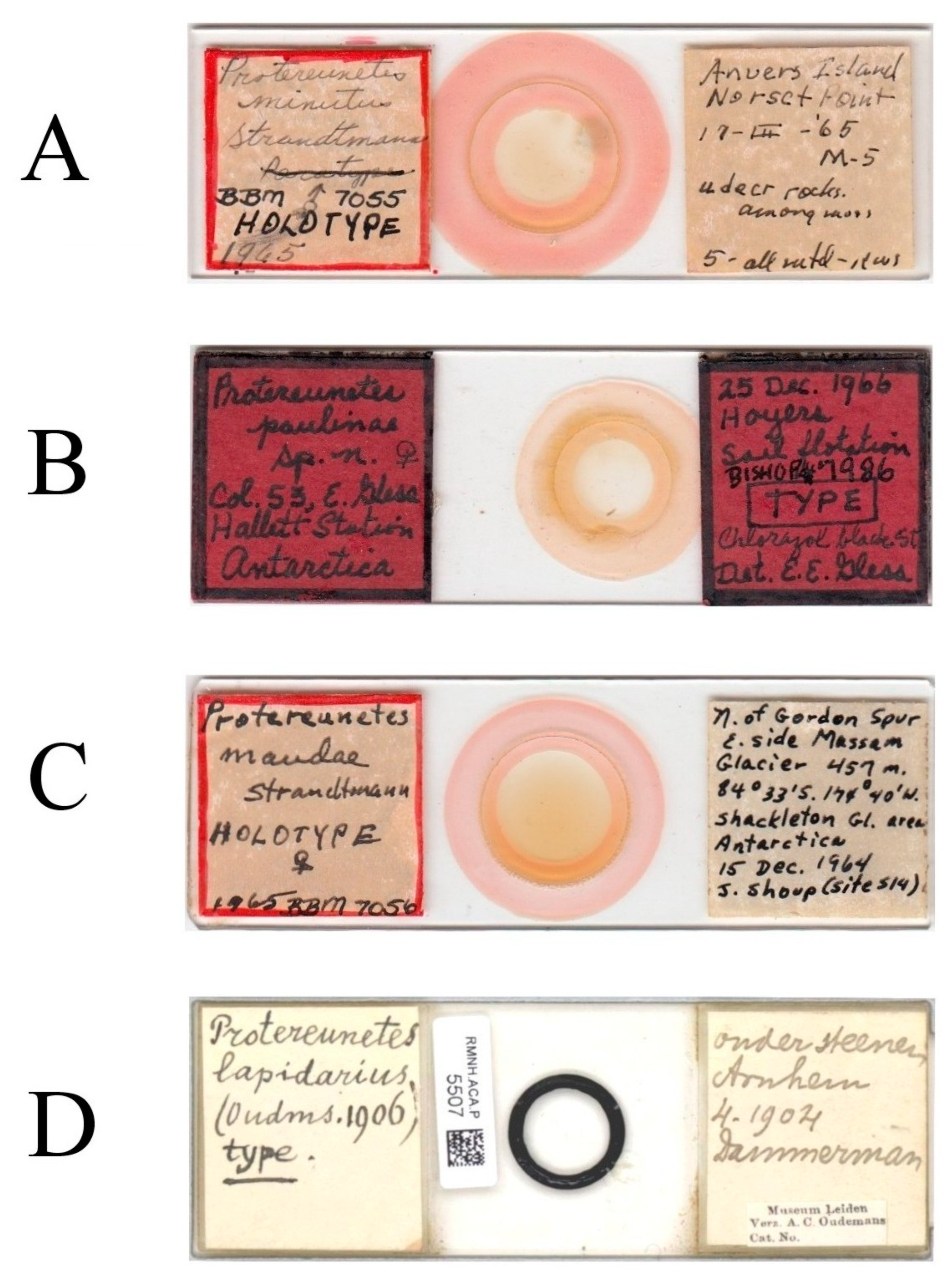 Animals 13 02213 g001