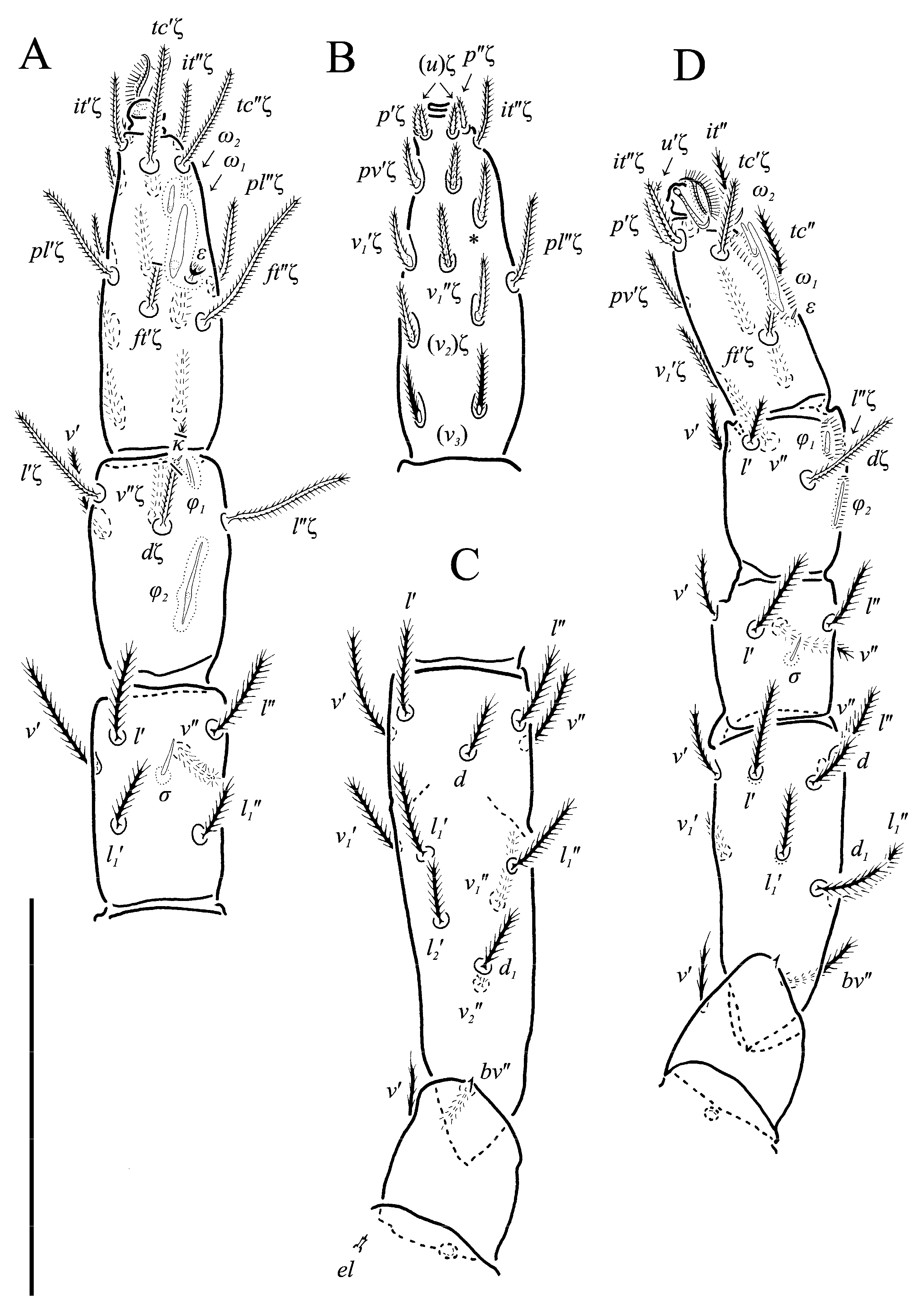 Animals 13 02213 g005