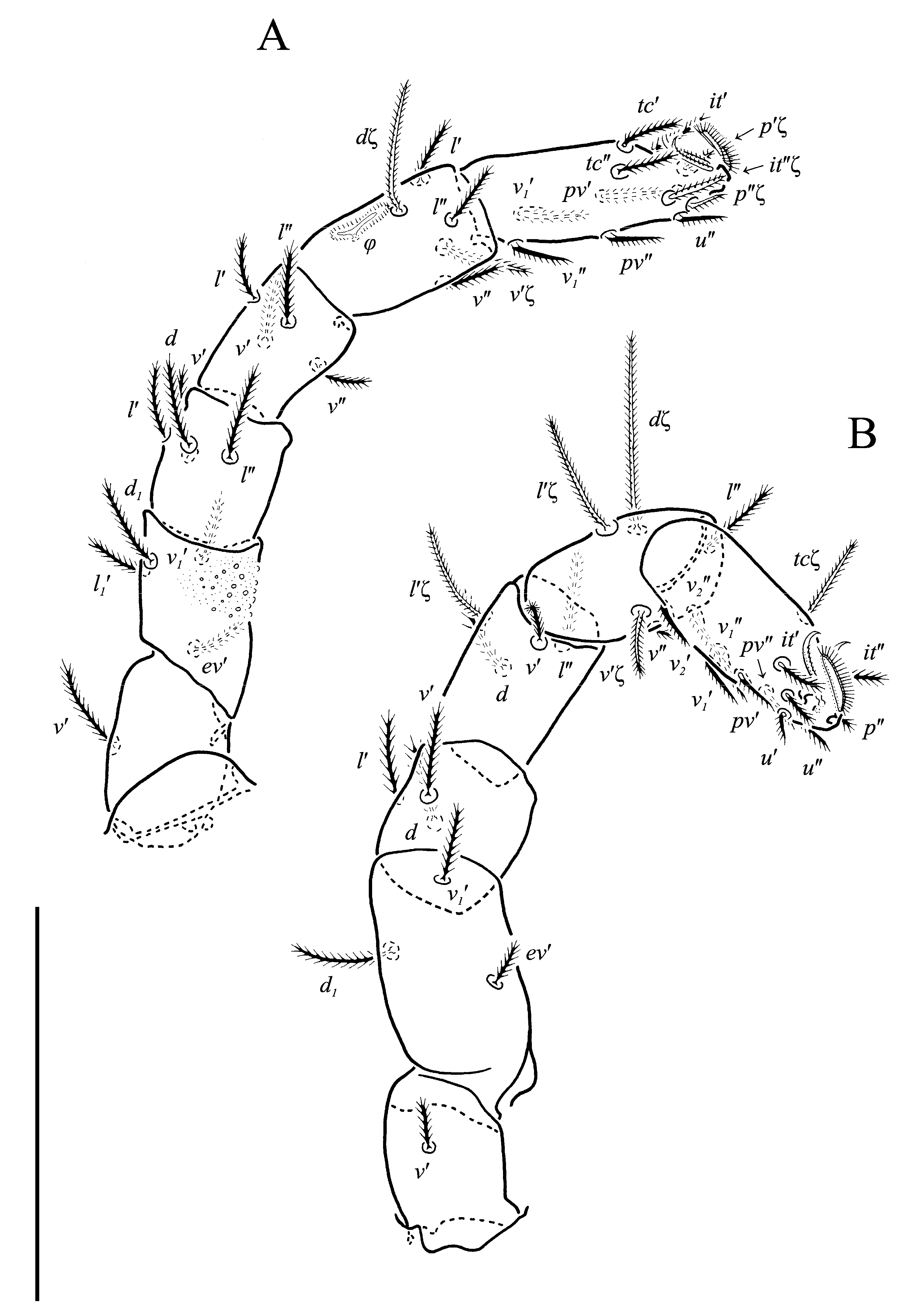 Animals 13 02213 g006