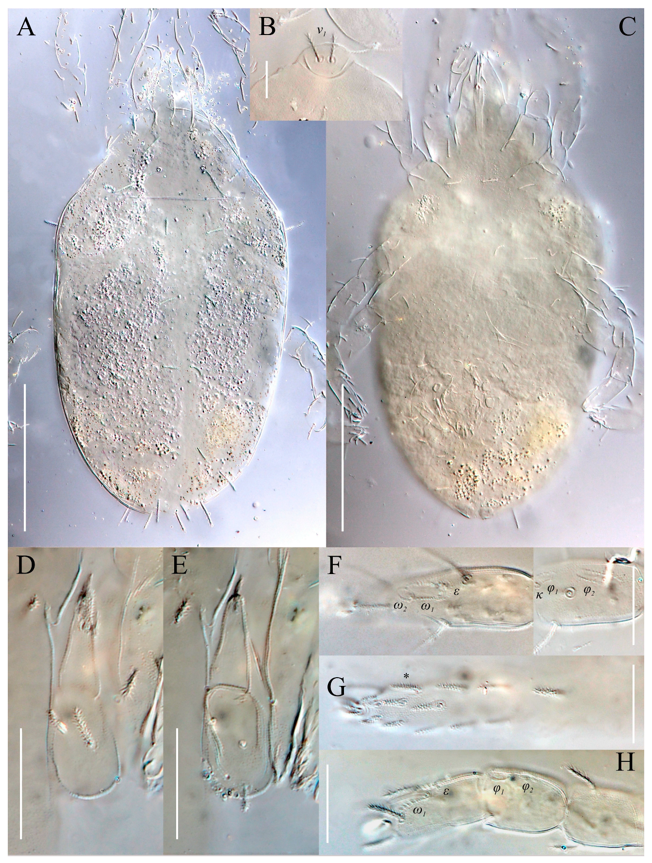 Animals 13 02213 g007