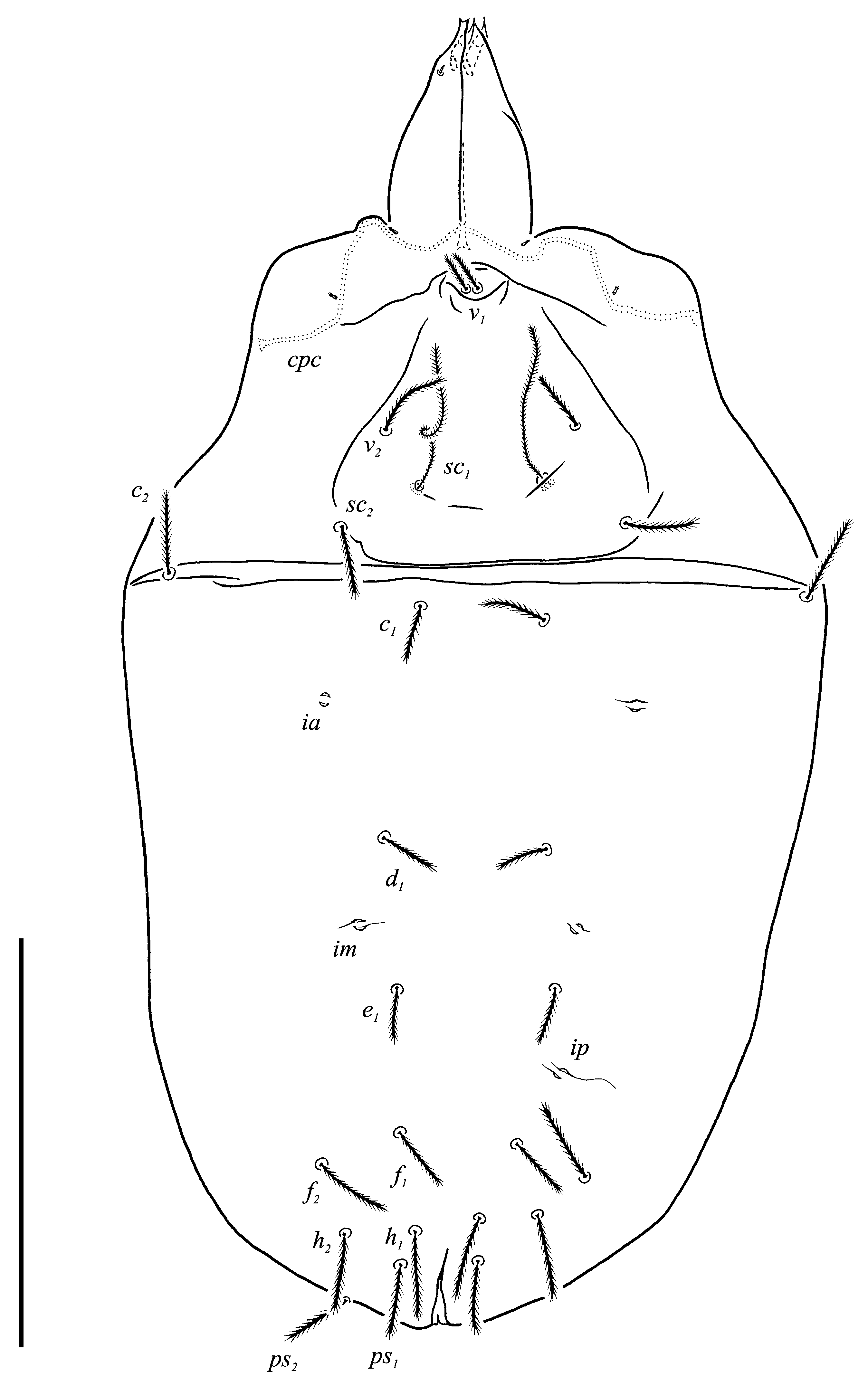 Animals 13 02213 g008