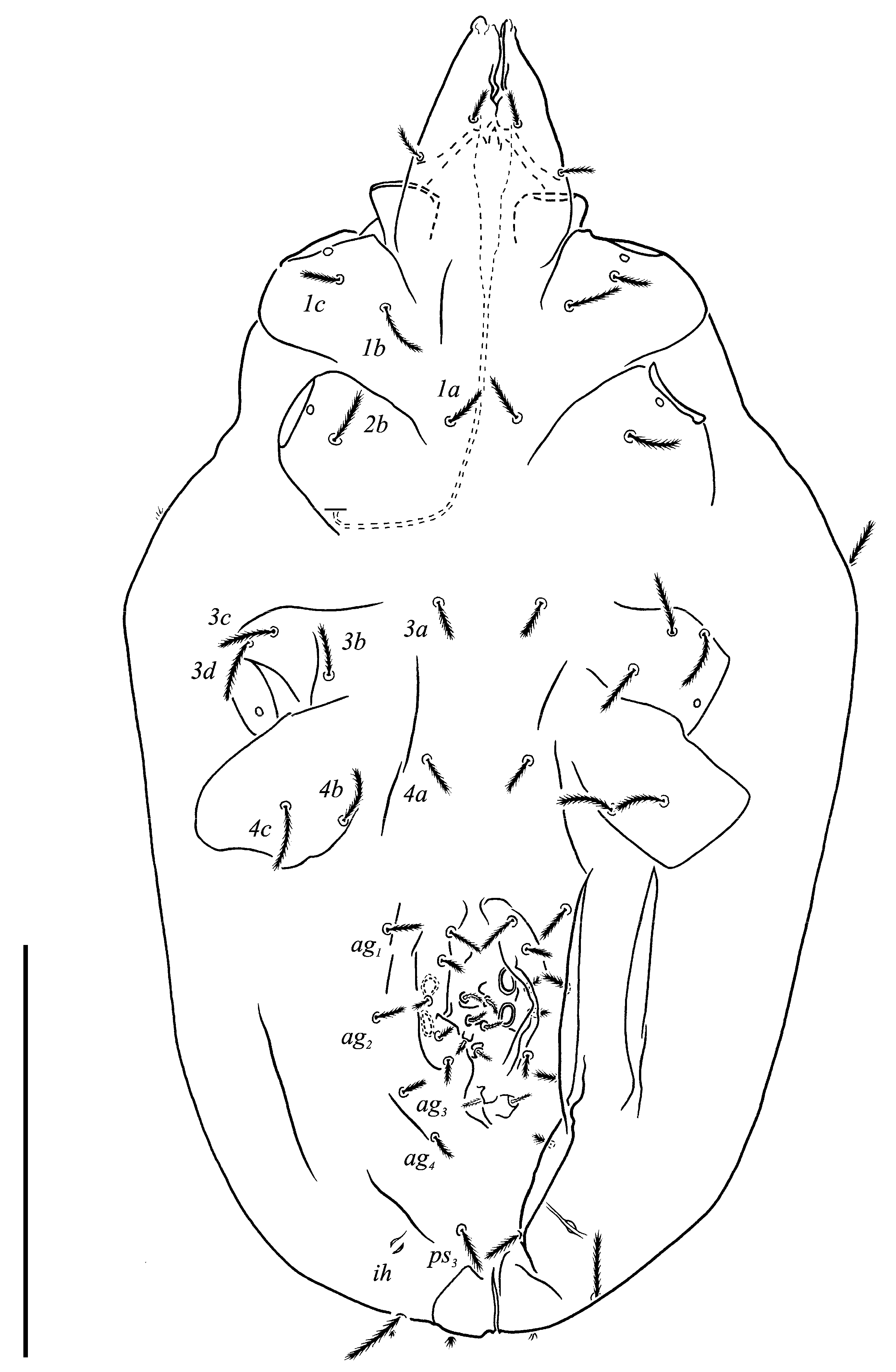 Animals 13 02213 g009