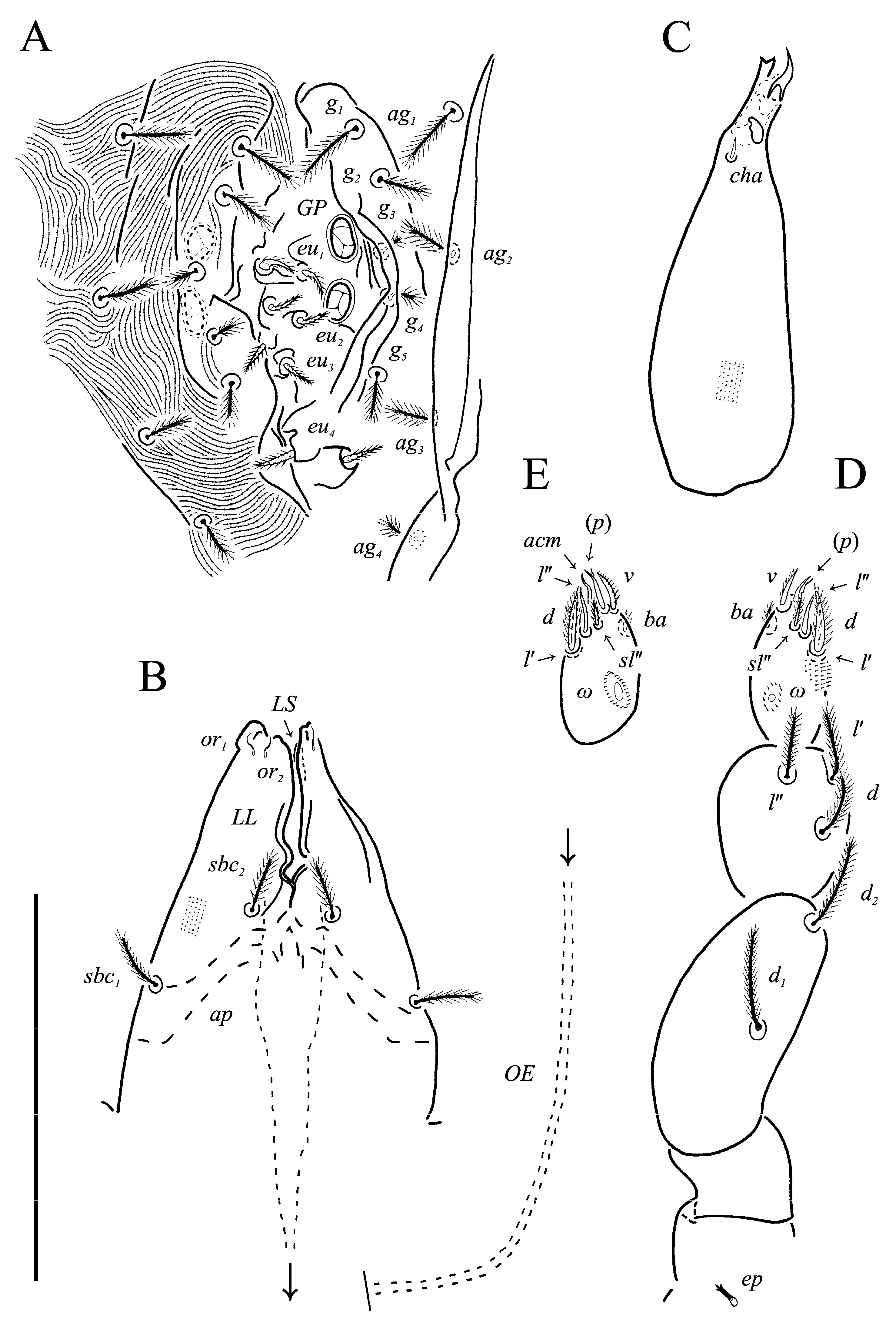 Animals 13 02213 g010