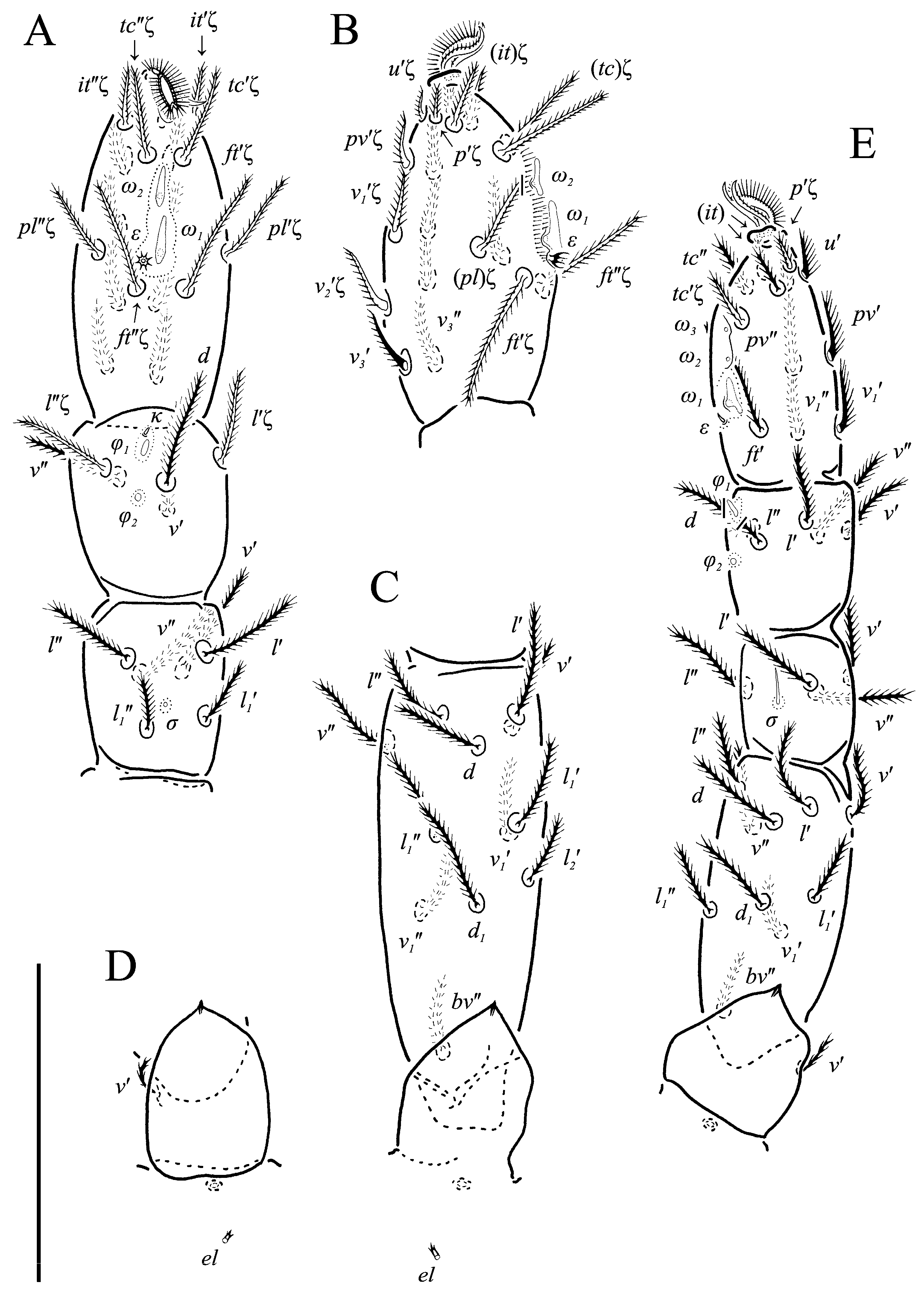 Animals 13 02213 g011