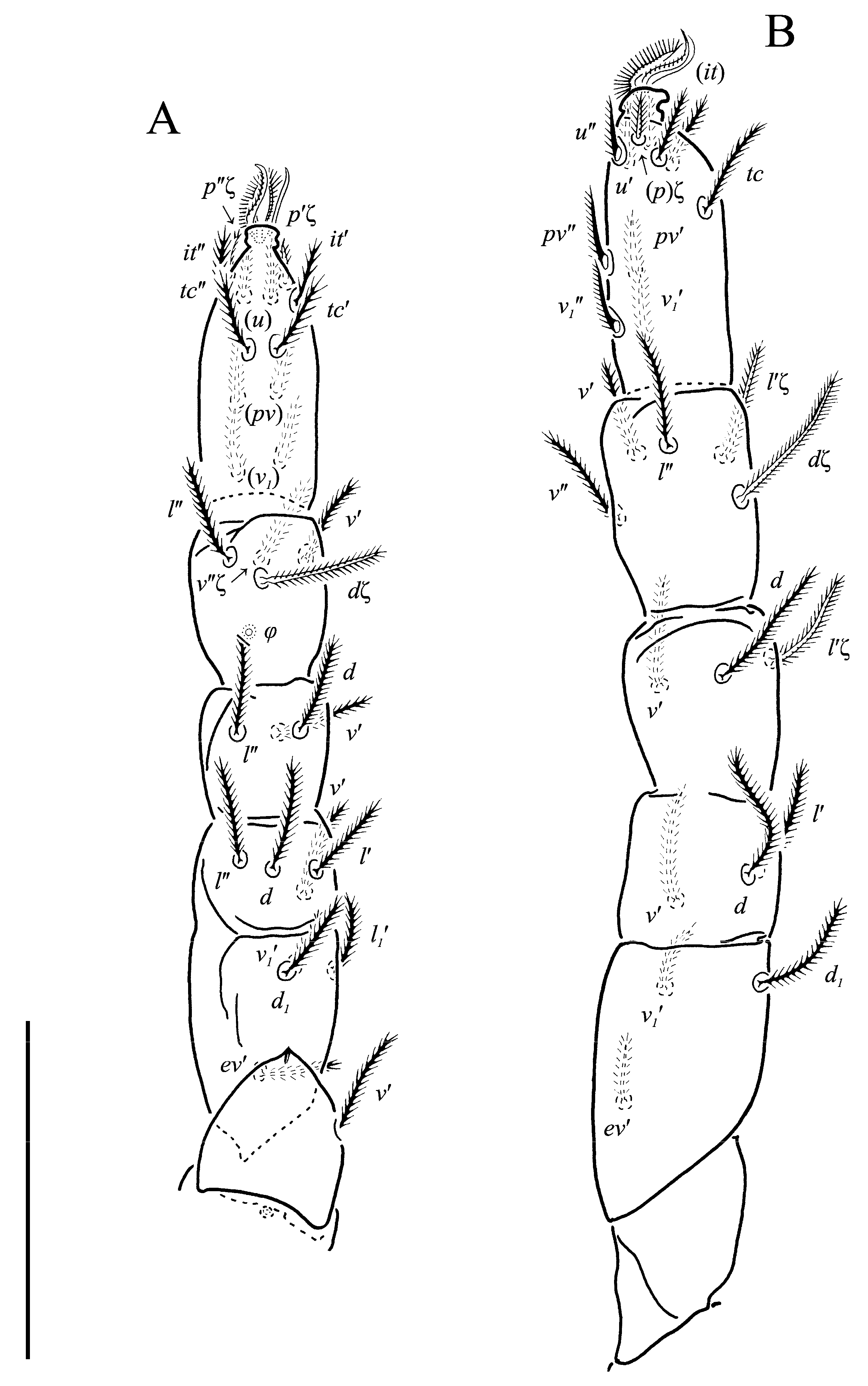 Animals 13 02213 g012