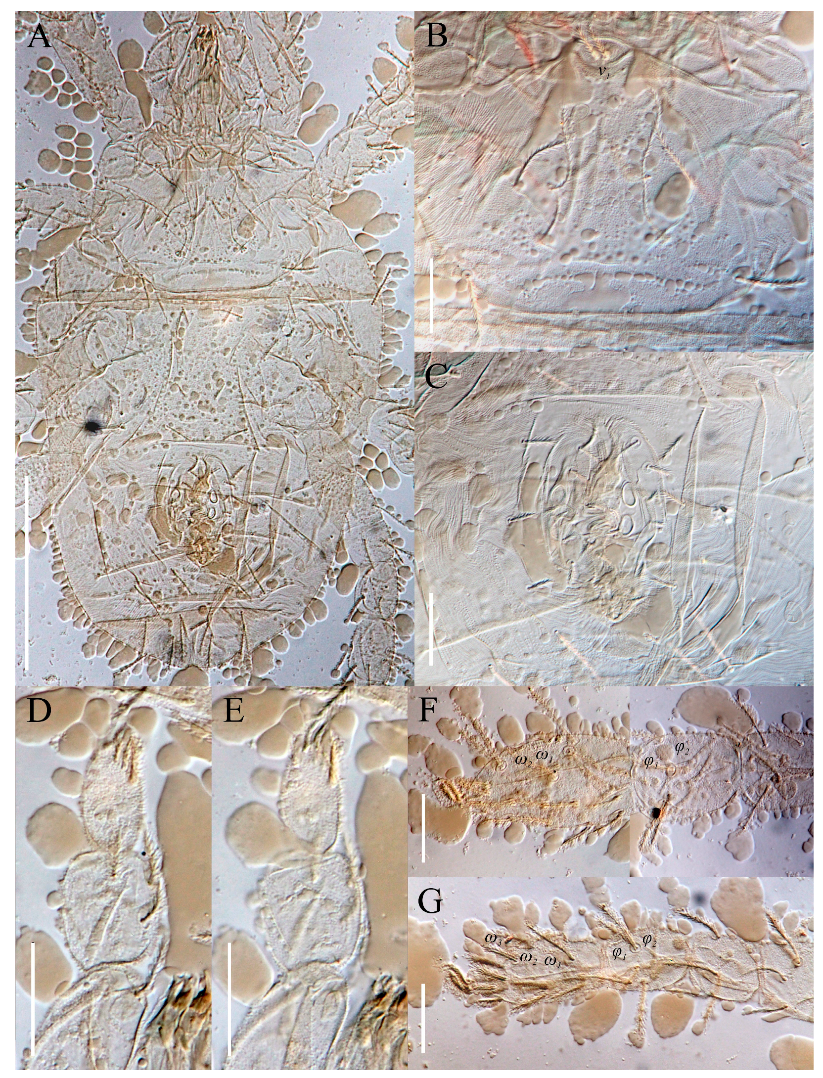 Animals 13 02213 g013