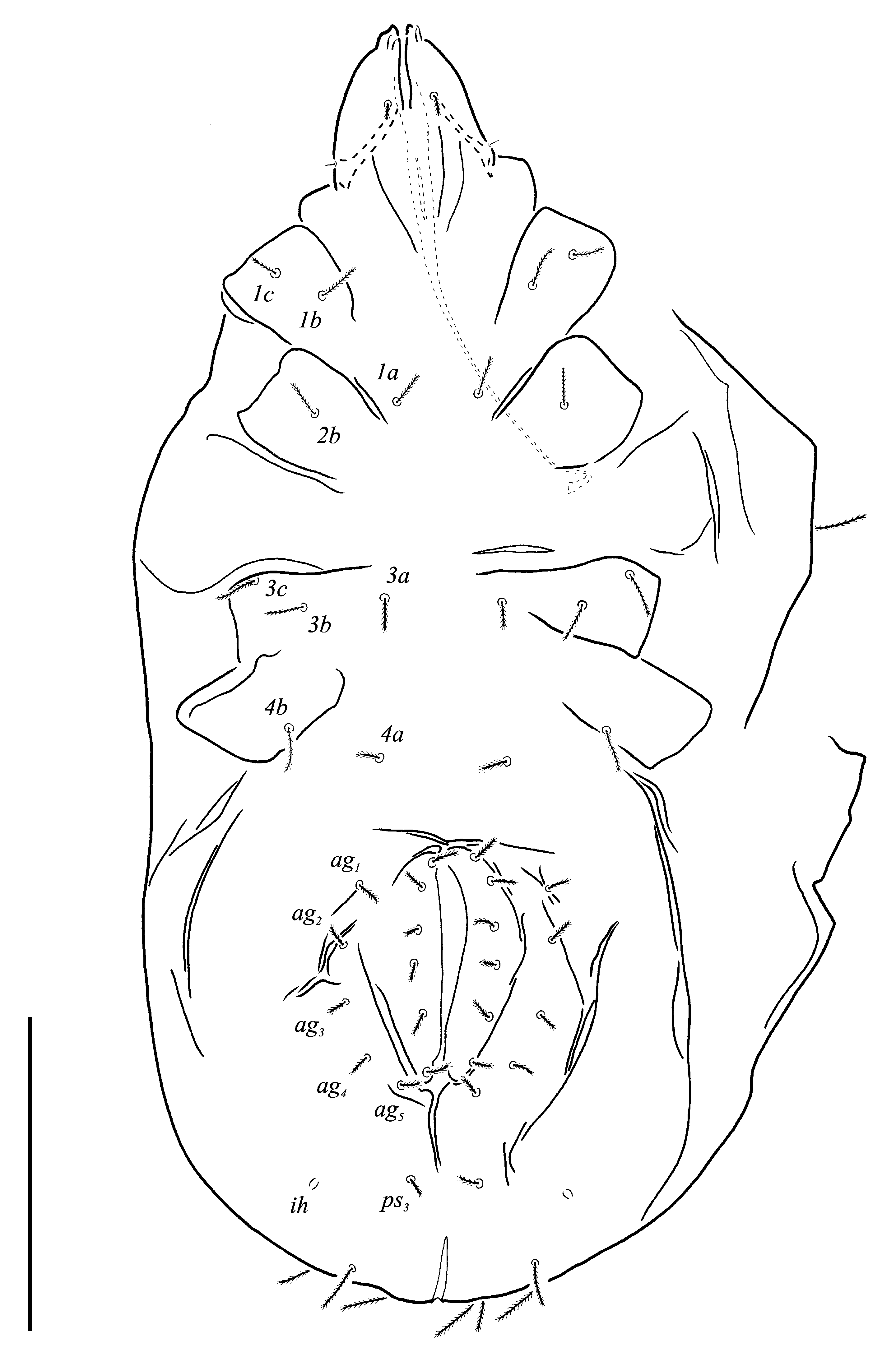 Animals 13 02213 g015