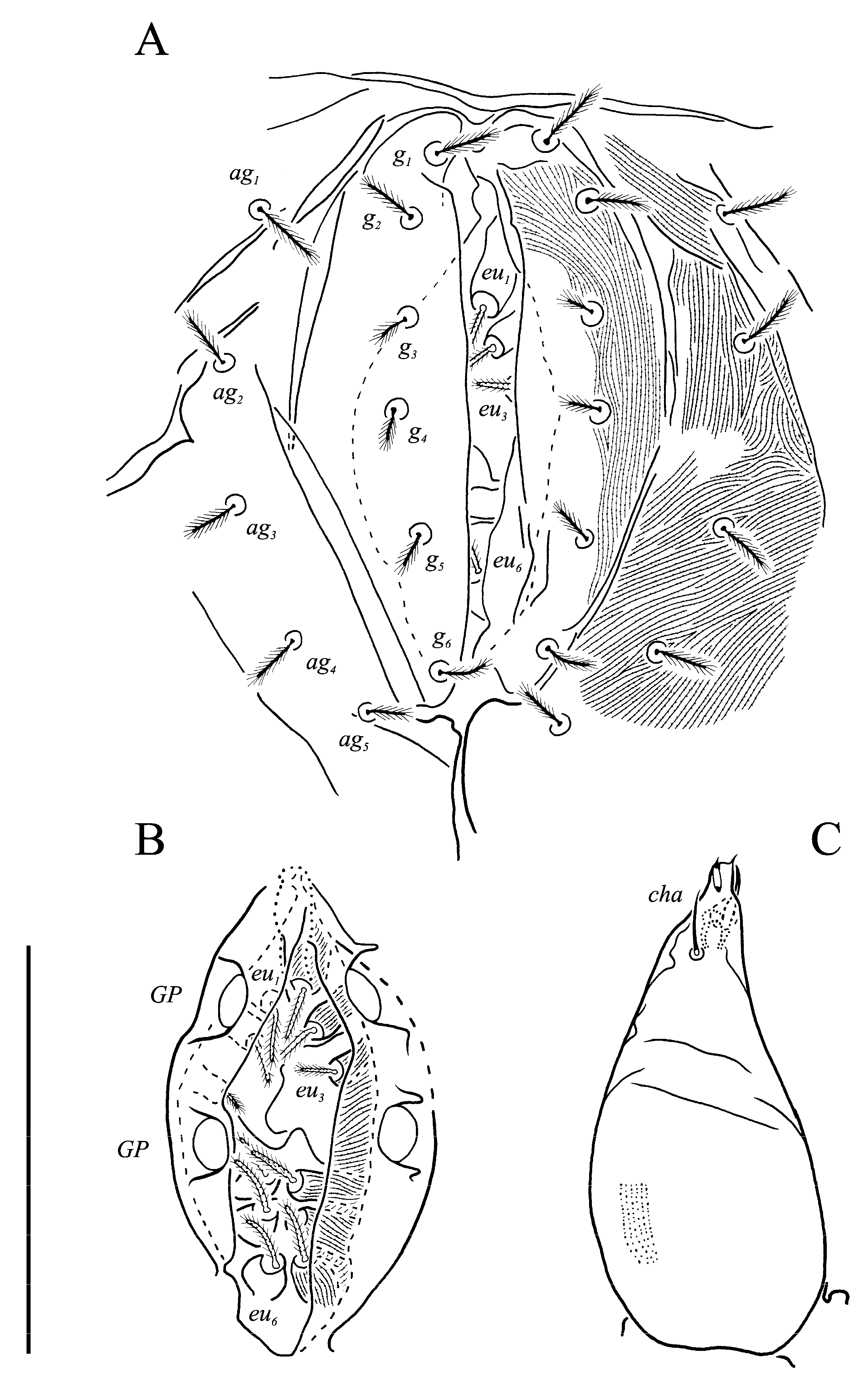 Animals 13 02213 g016