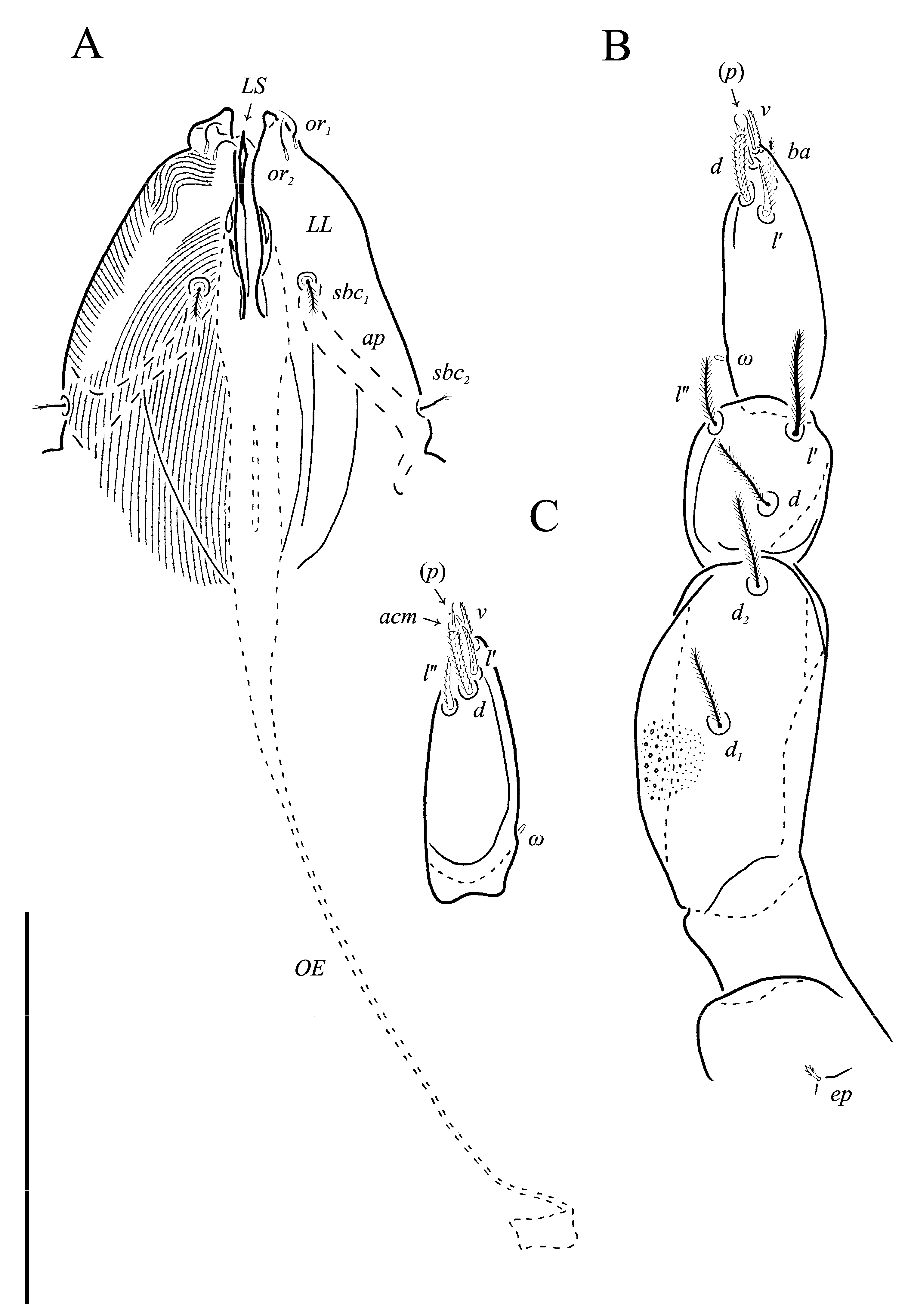 Animals 13 02213 g017