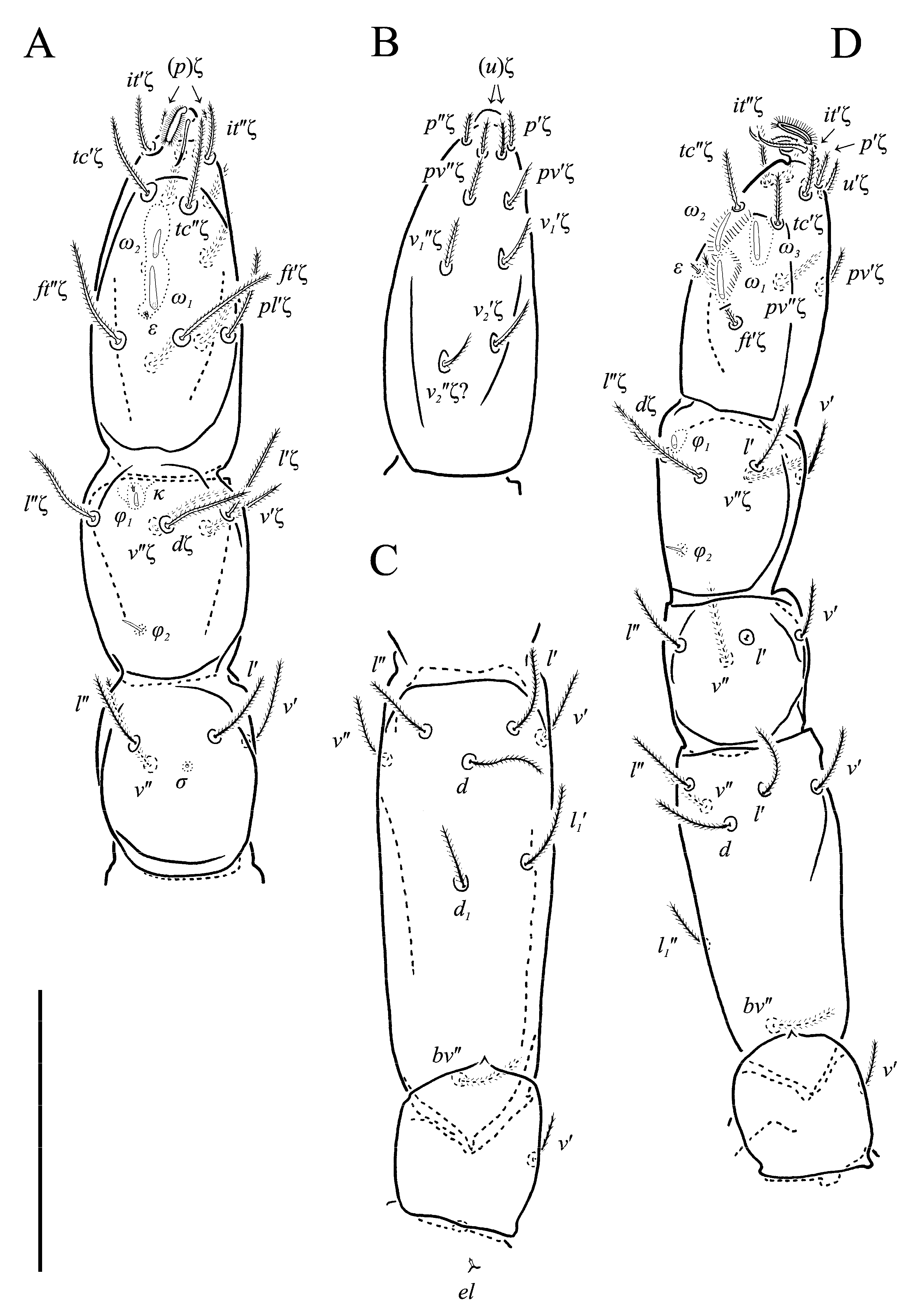 Animals 13 02213 g018