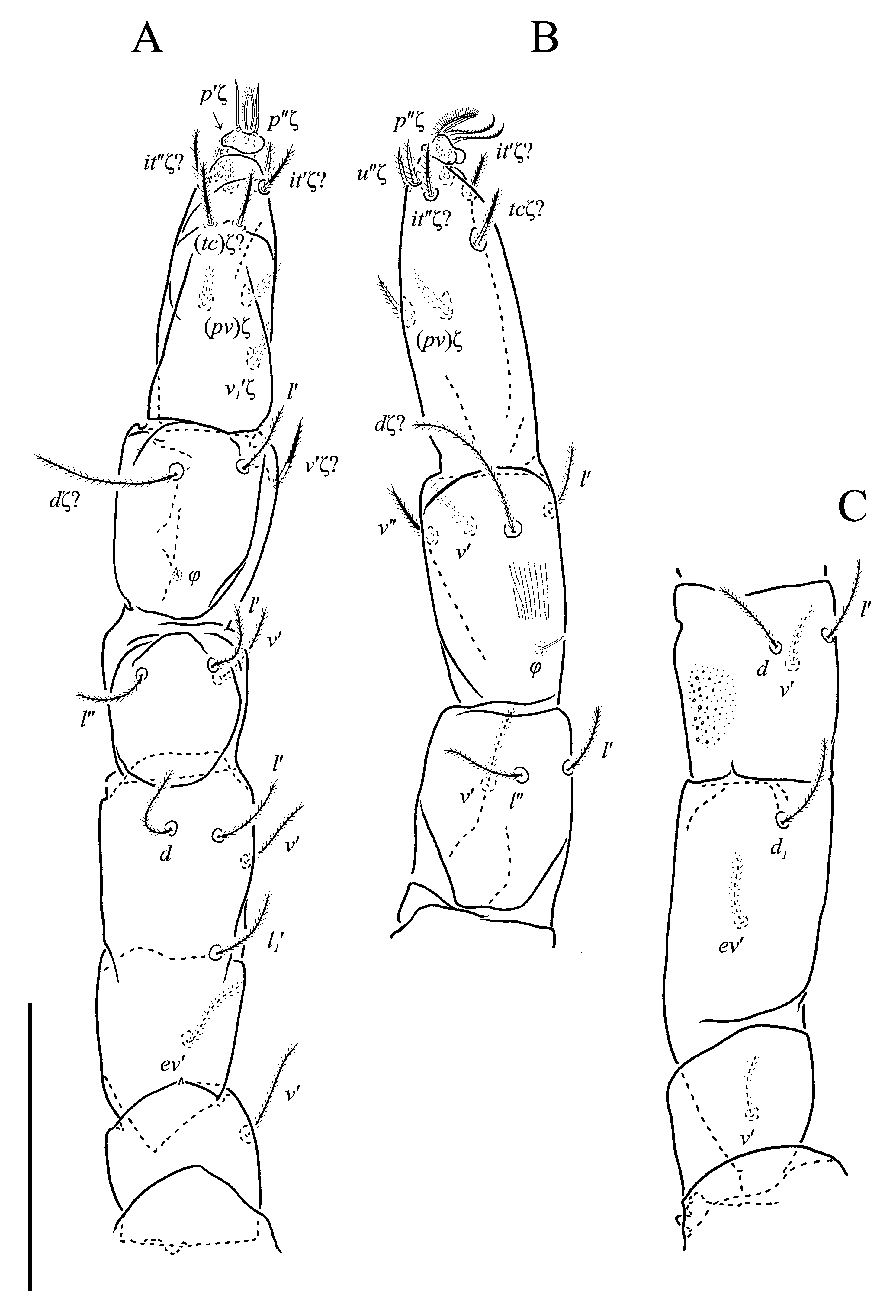 Animals 13 02213 g019