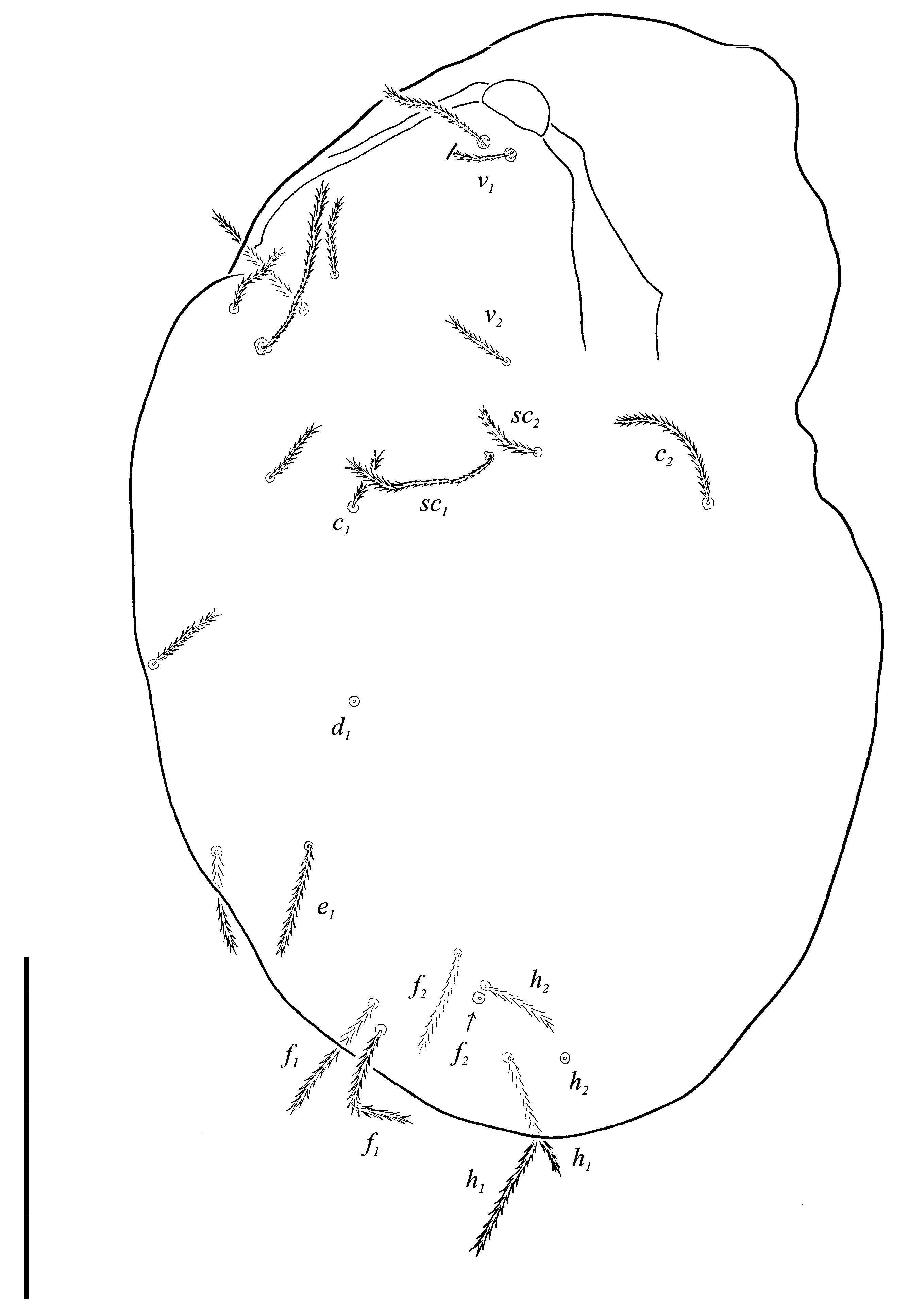 Animals 13 02213 g021