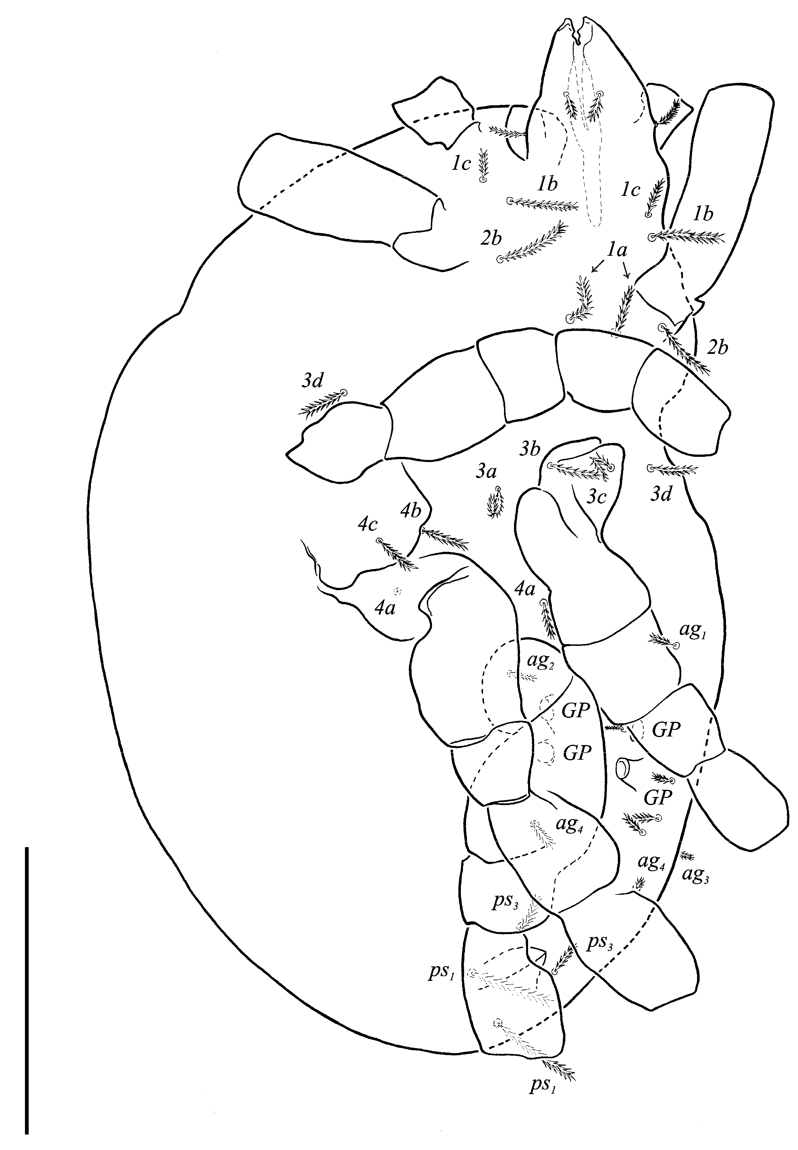 Animals 13 02213 g022