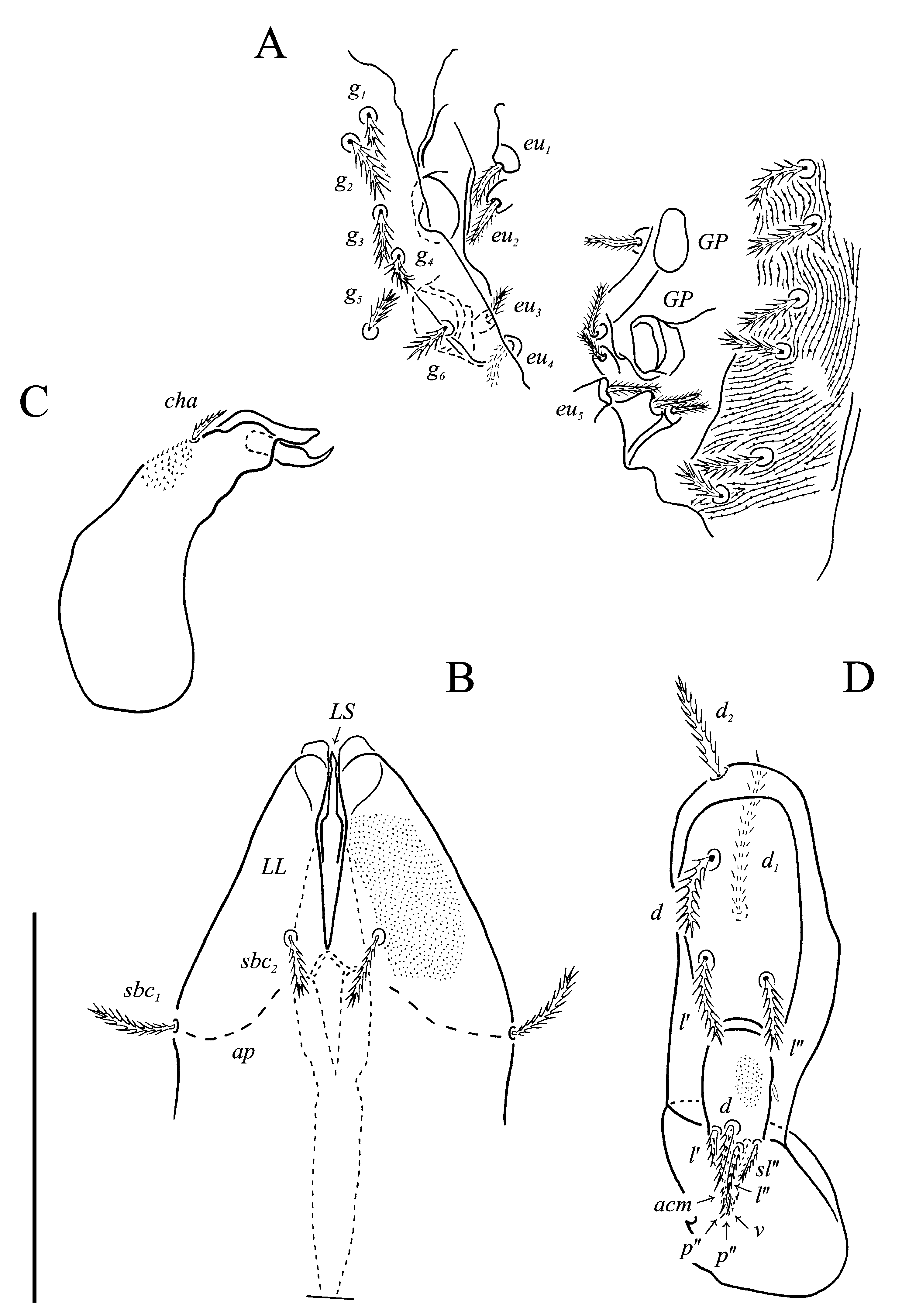 Animals 13 02213 g023