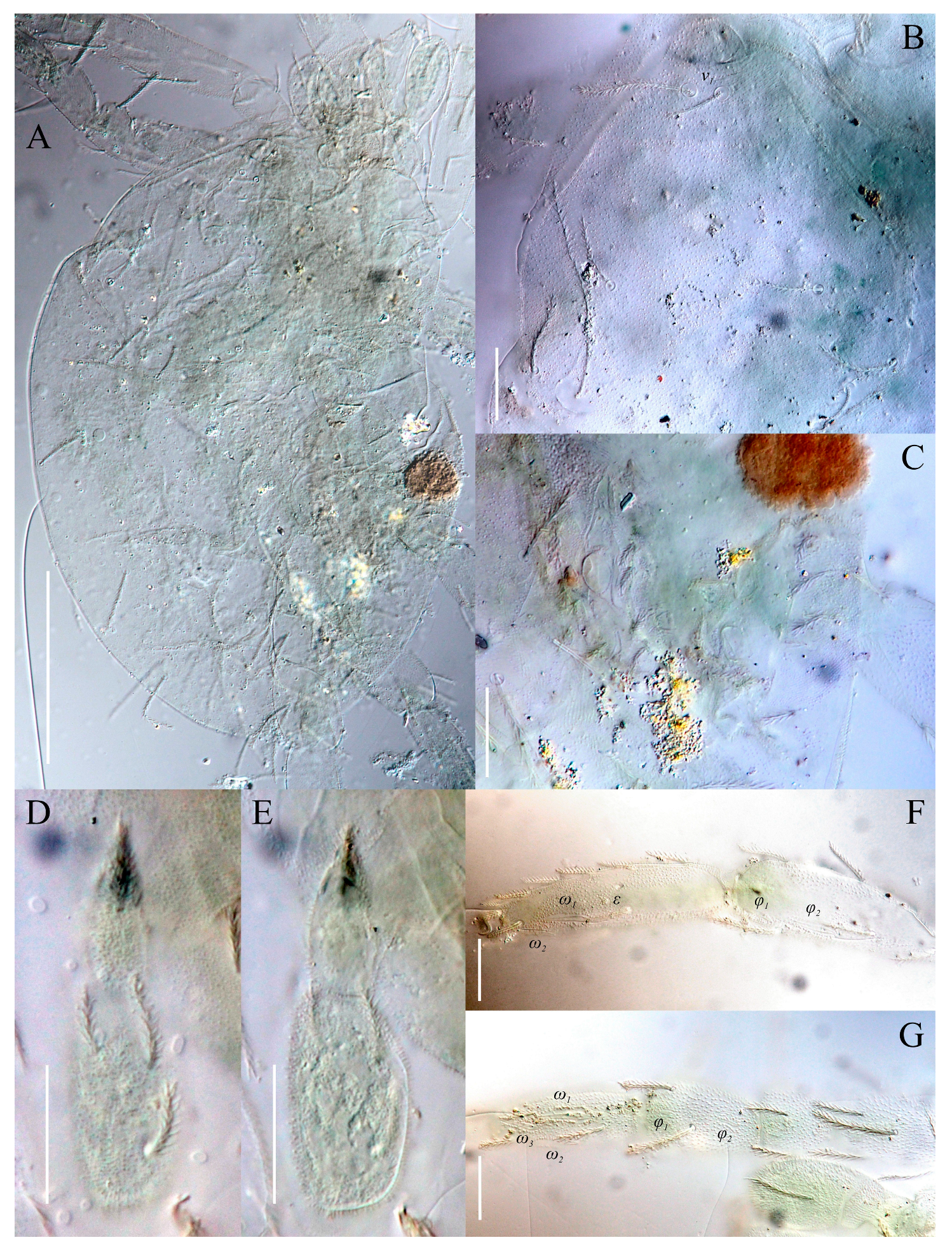 Animals 13 02213 g026