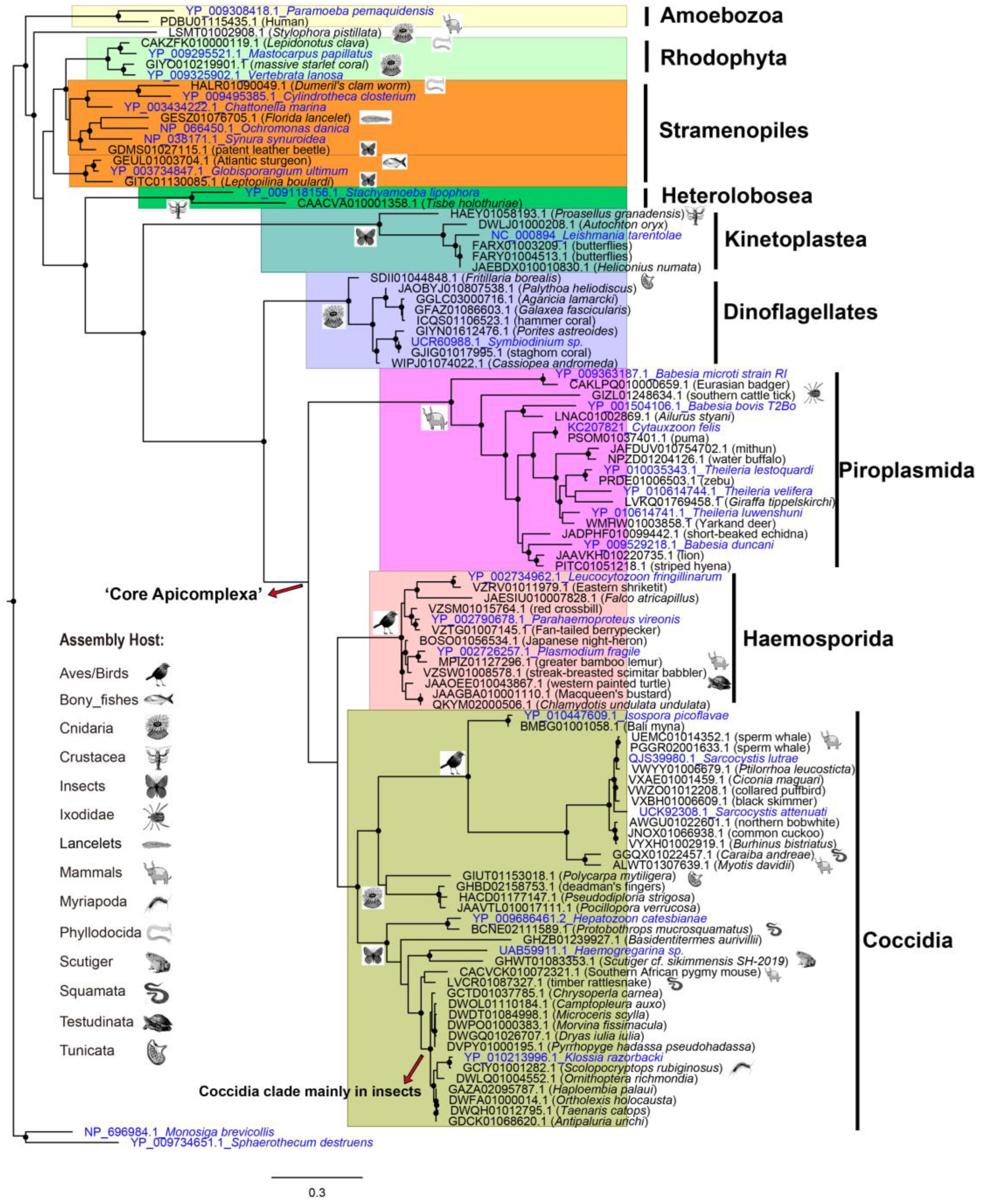 Animals 13 02243 g005