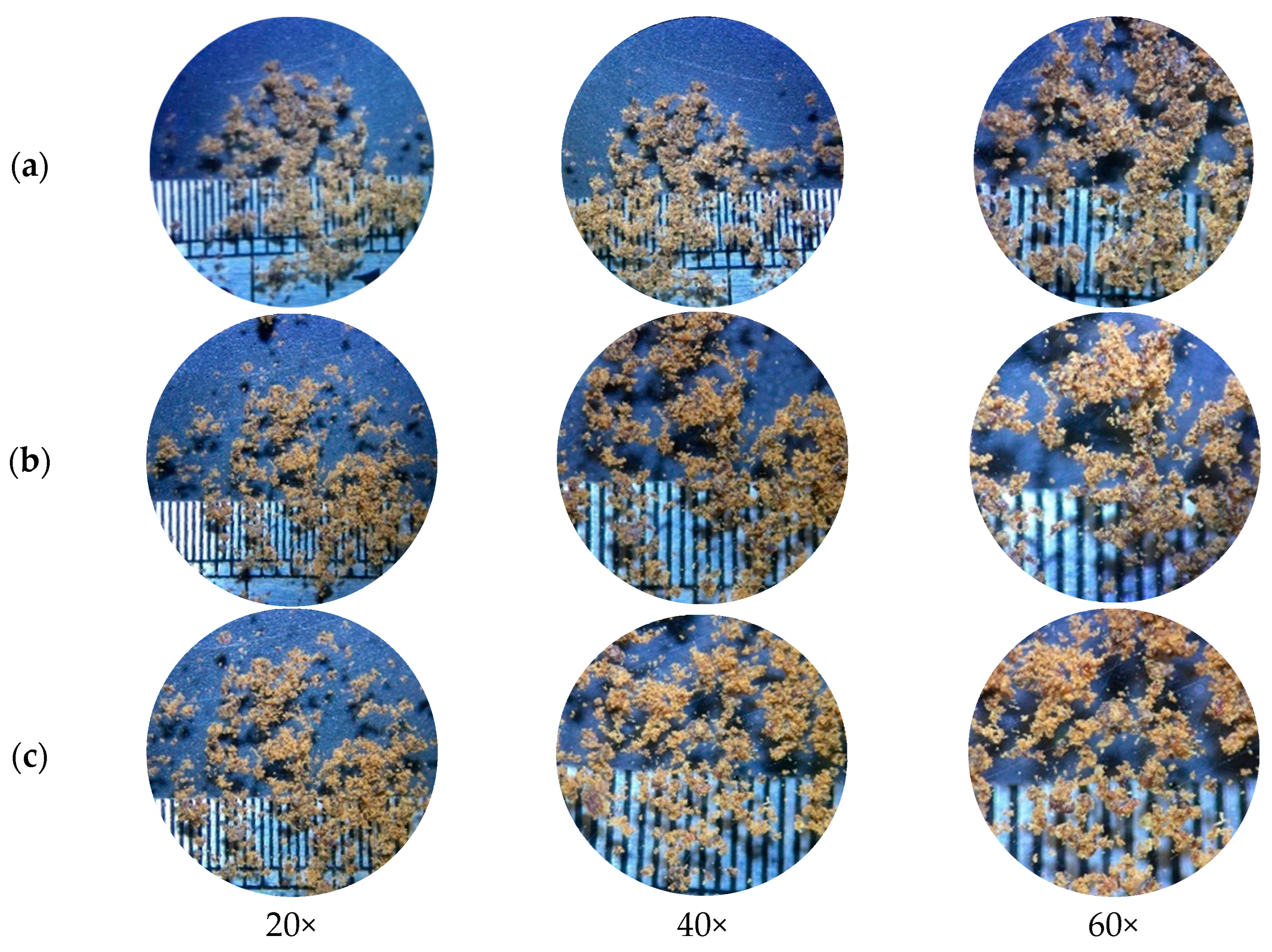 Animals 13 02244 g002