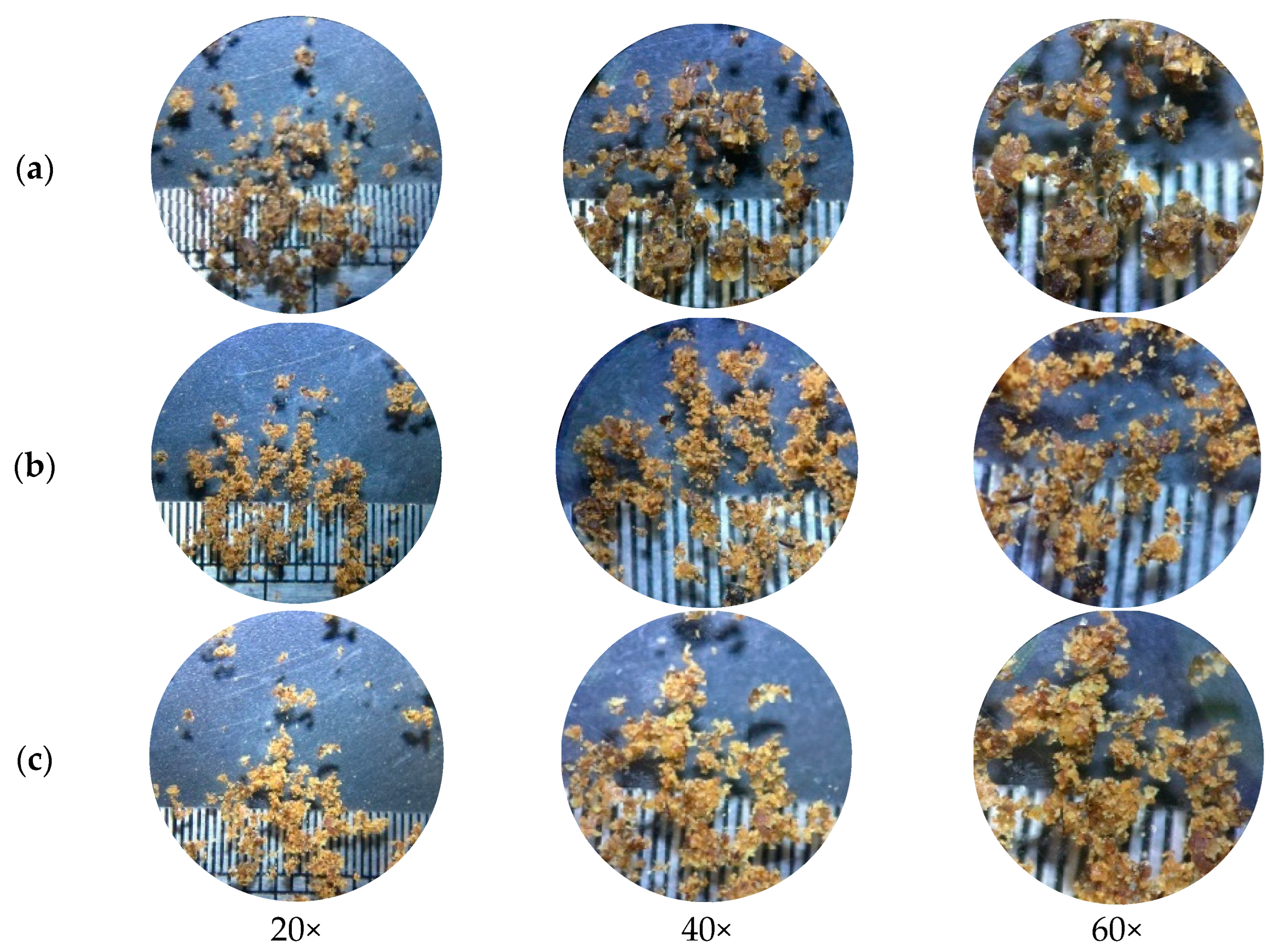 Animals 13 02244 g003