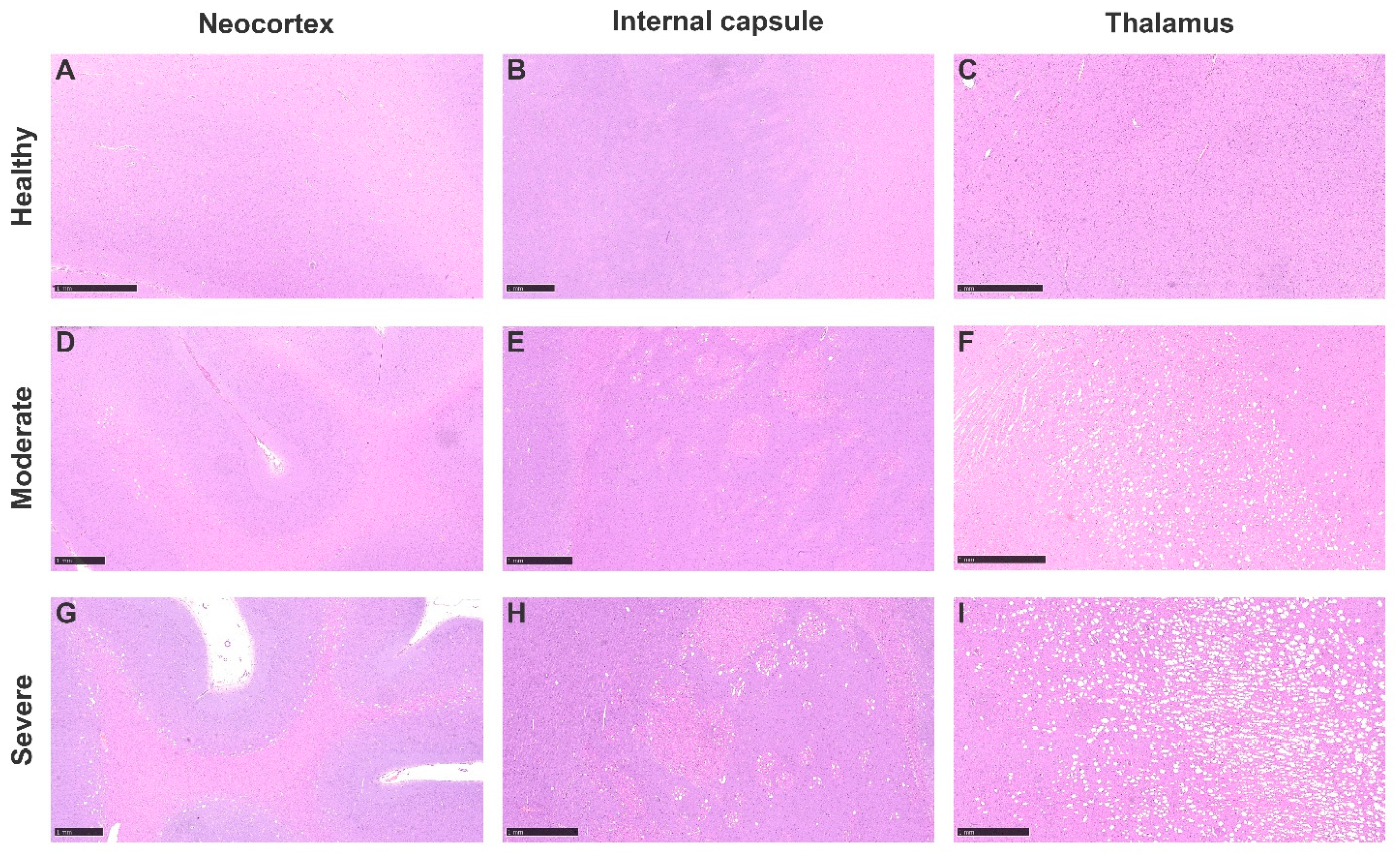 Animals 13 02255 g001 Animals 13 02255 g001