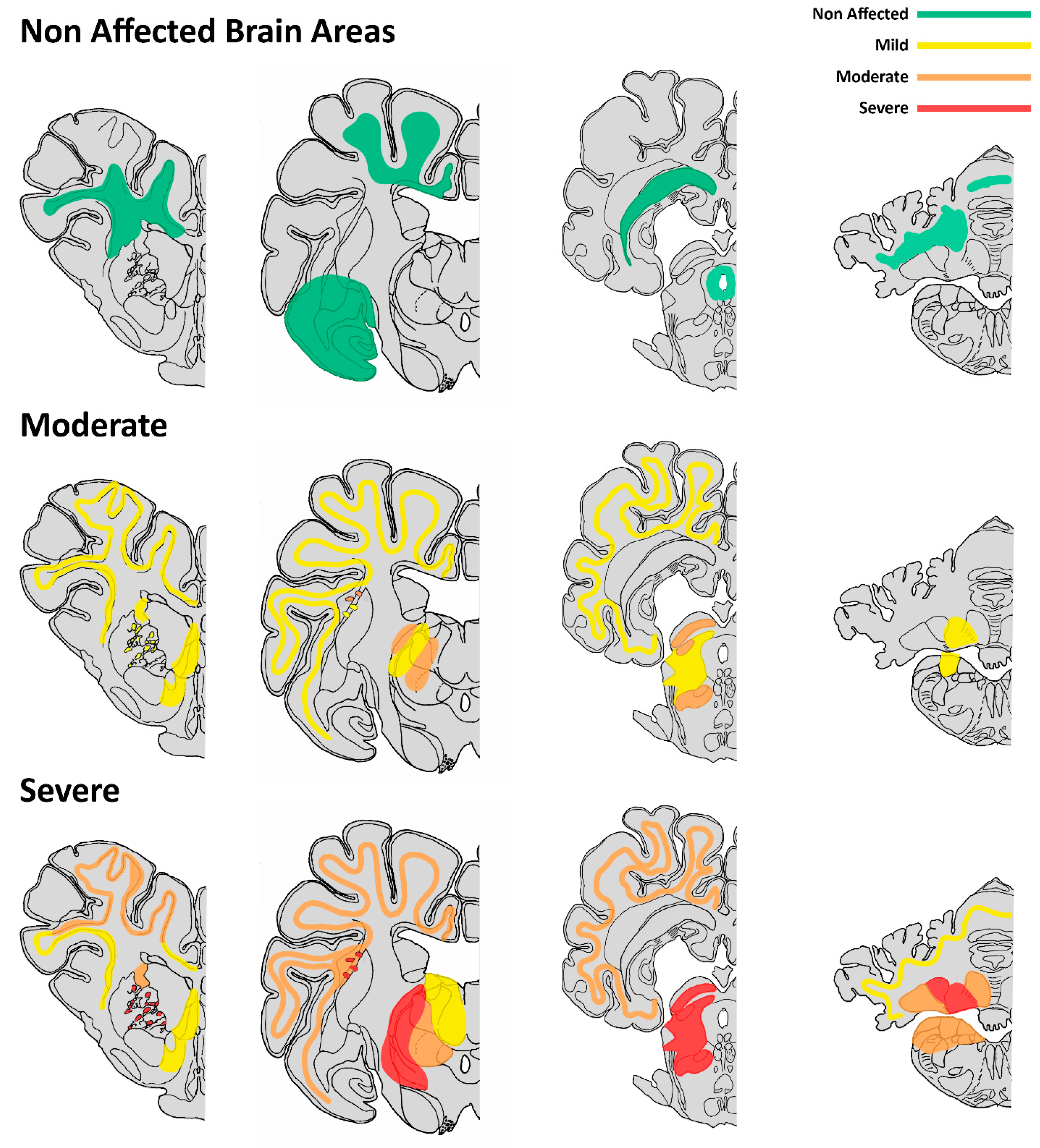 Animals 13 02255 g003 Animals 13 02255 g003