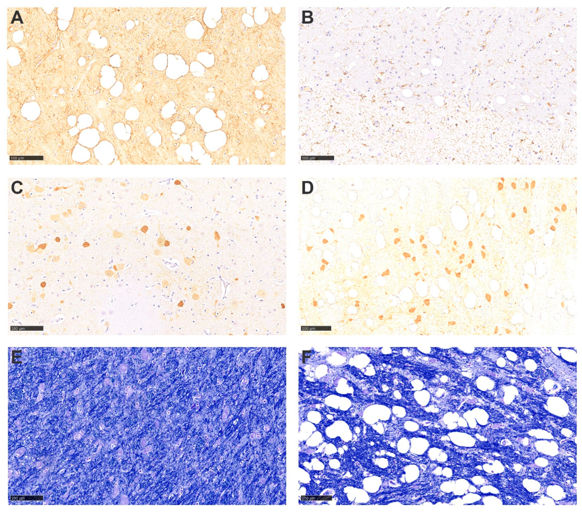 Animals 13 02255 g004 Animals 13 02255 g004