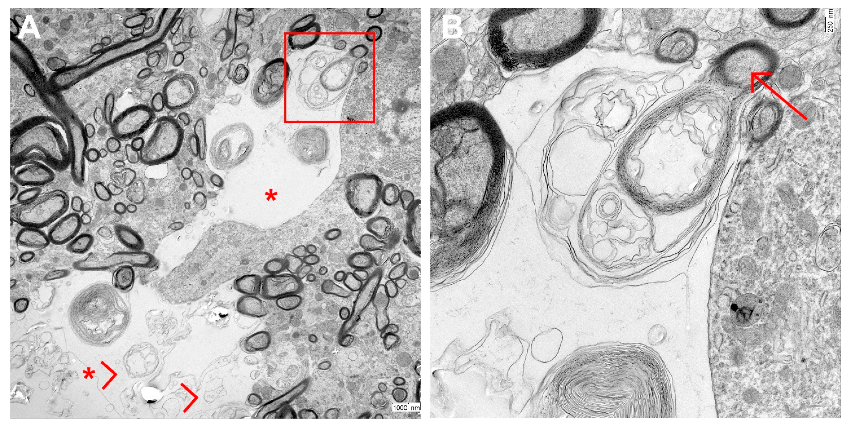 Animals 13 02255 g005 Animals 13 02255 g005