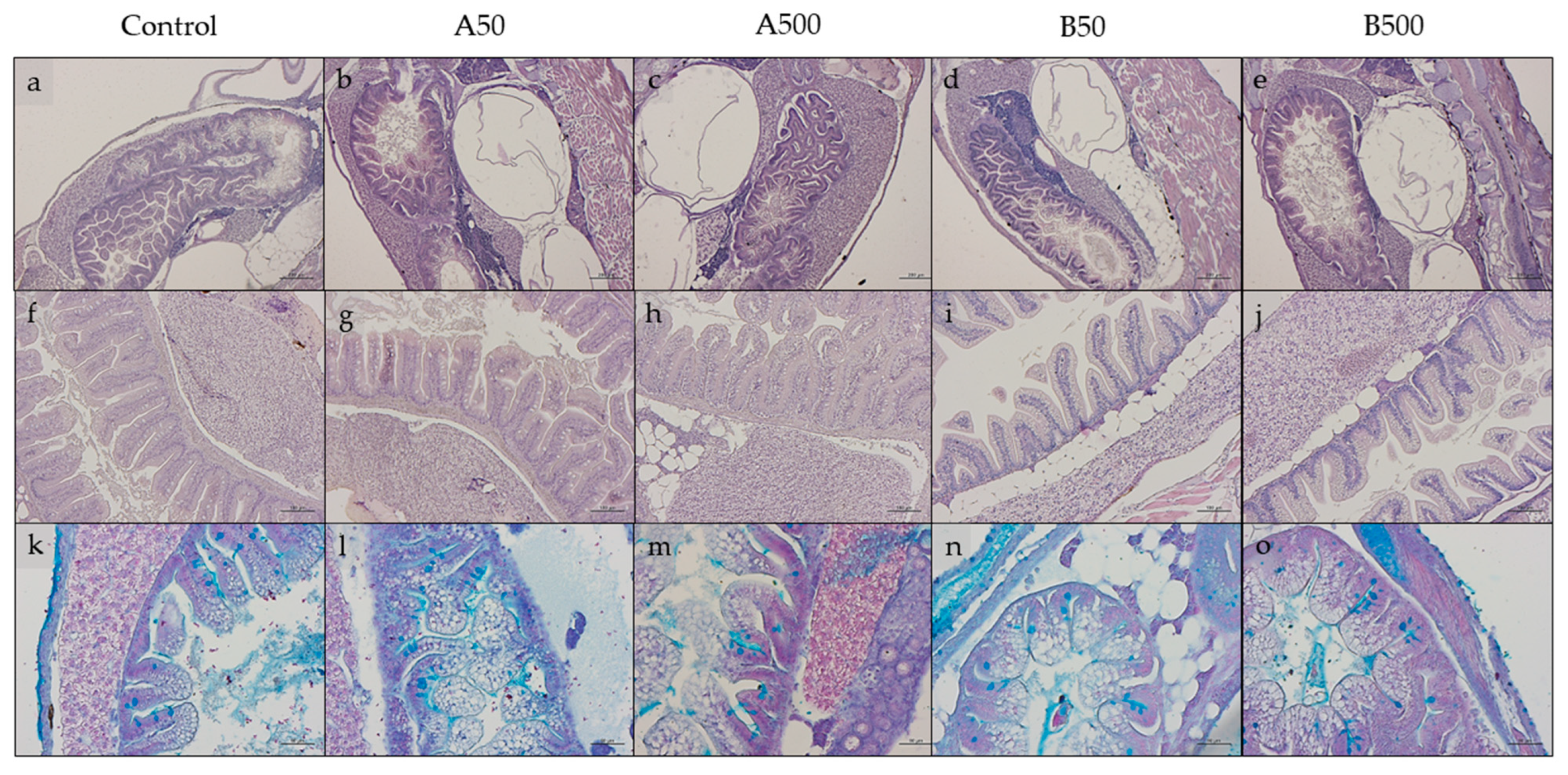 Animals 13 02256 g003 Animals 13 02256 g003