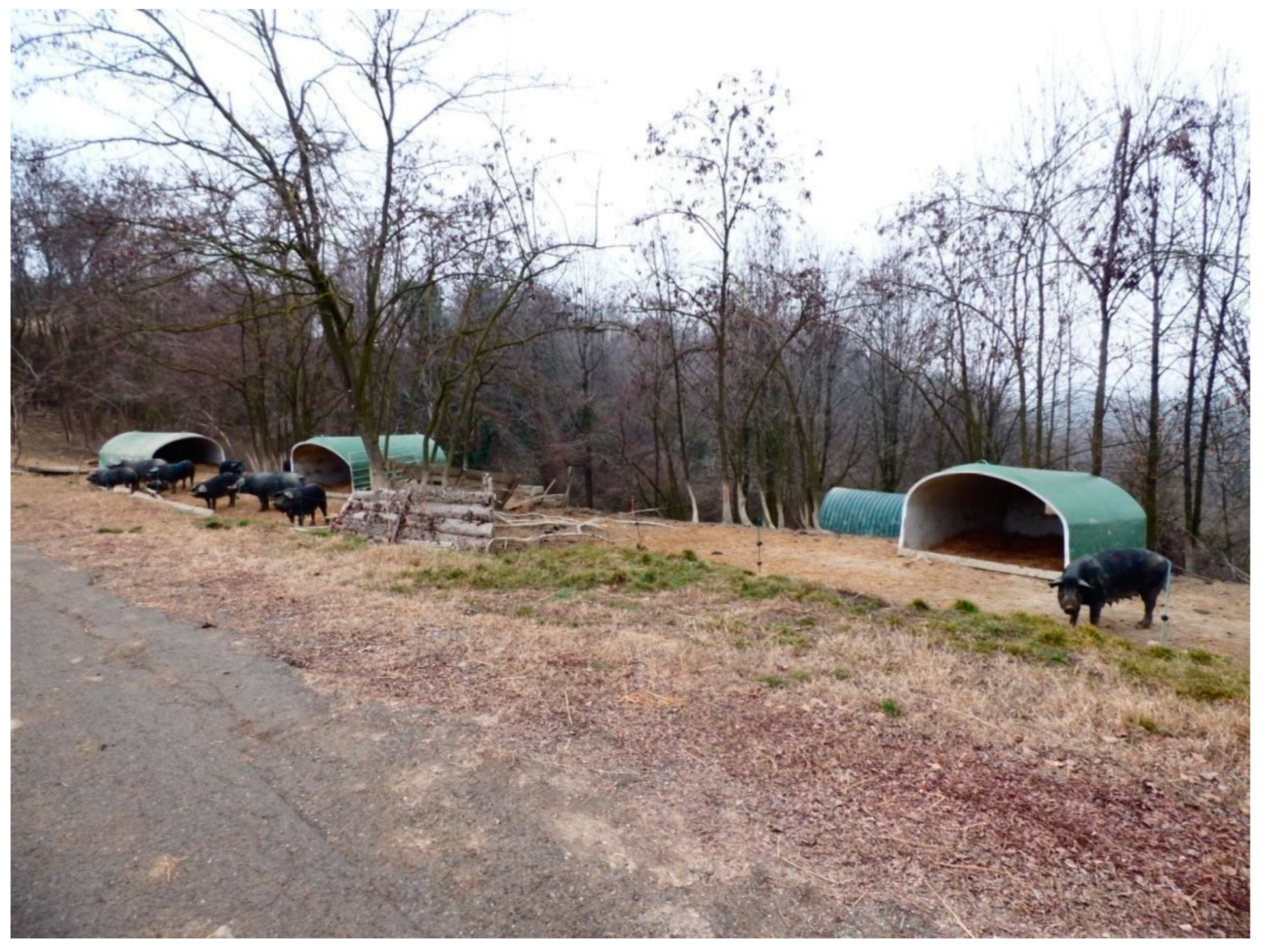 Animals 13 02261 g001