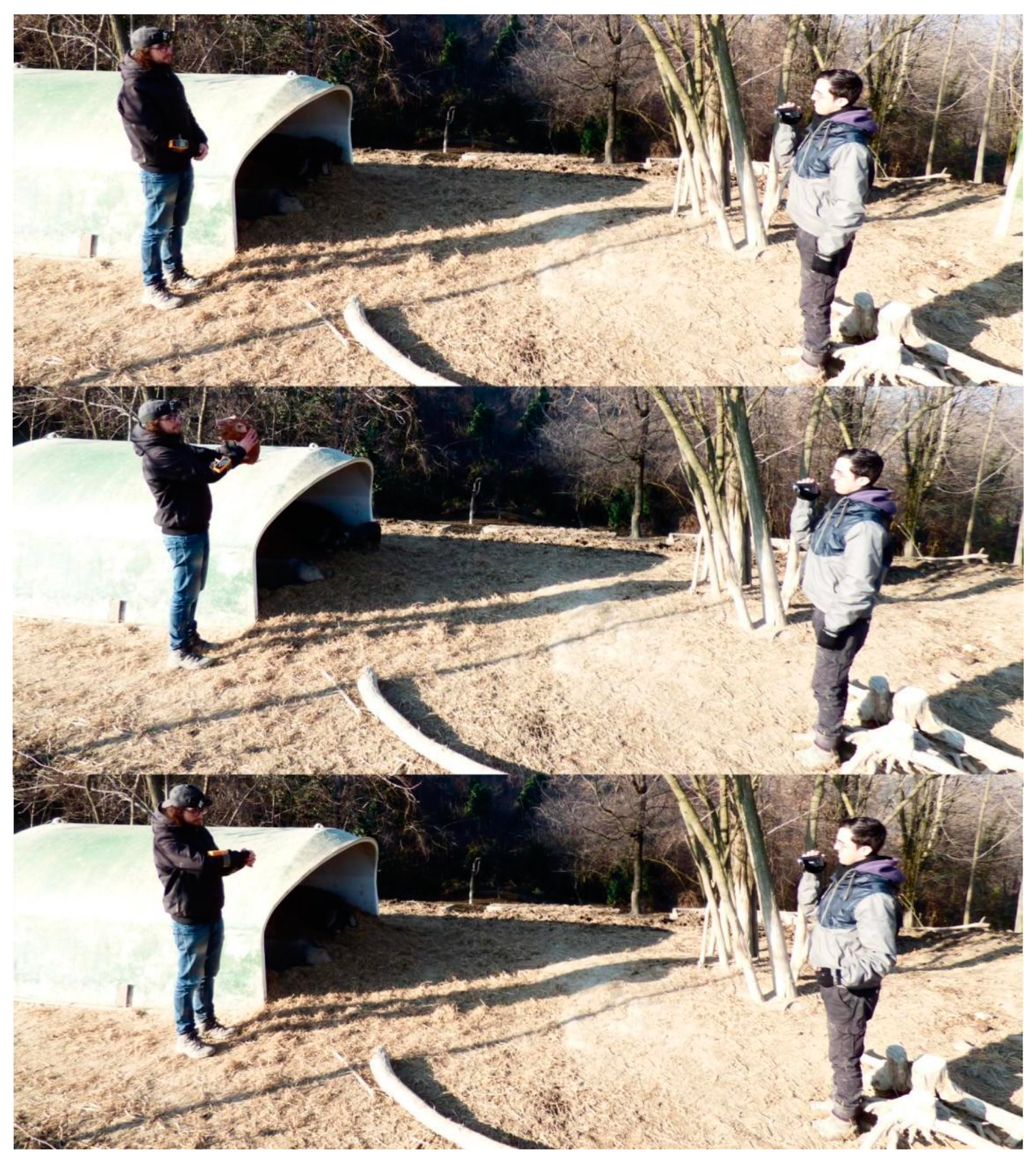 Animals 13 02261 g003