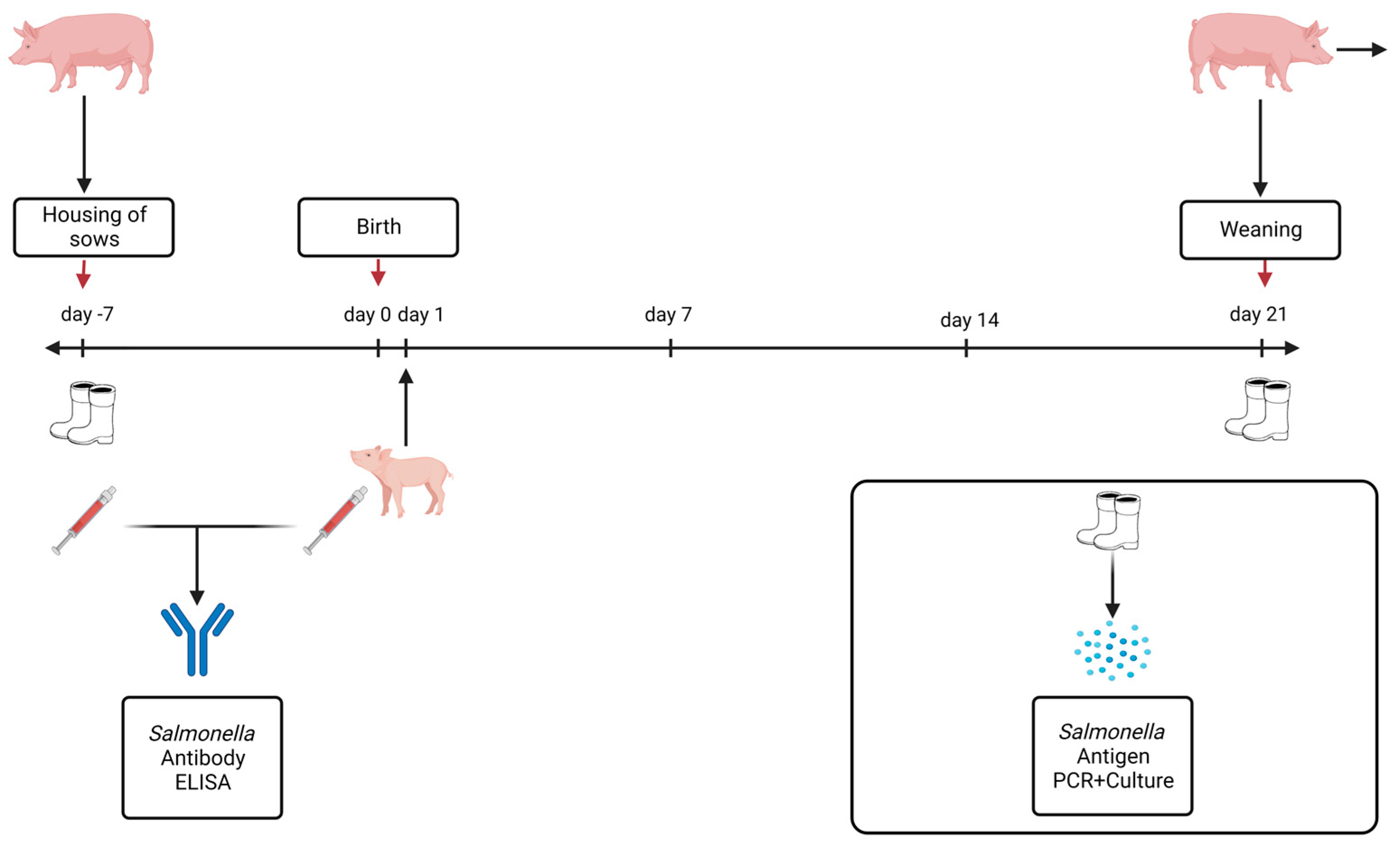 Animals 13 02262 g002