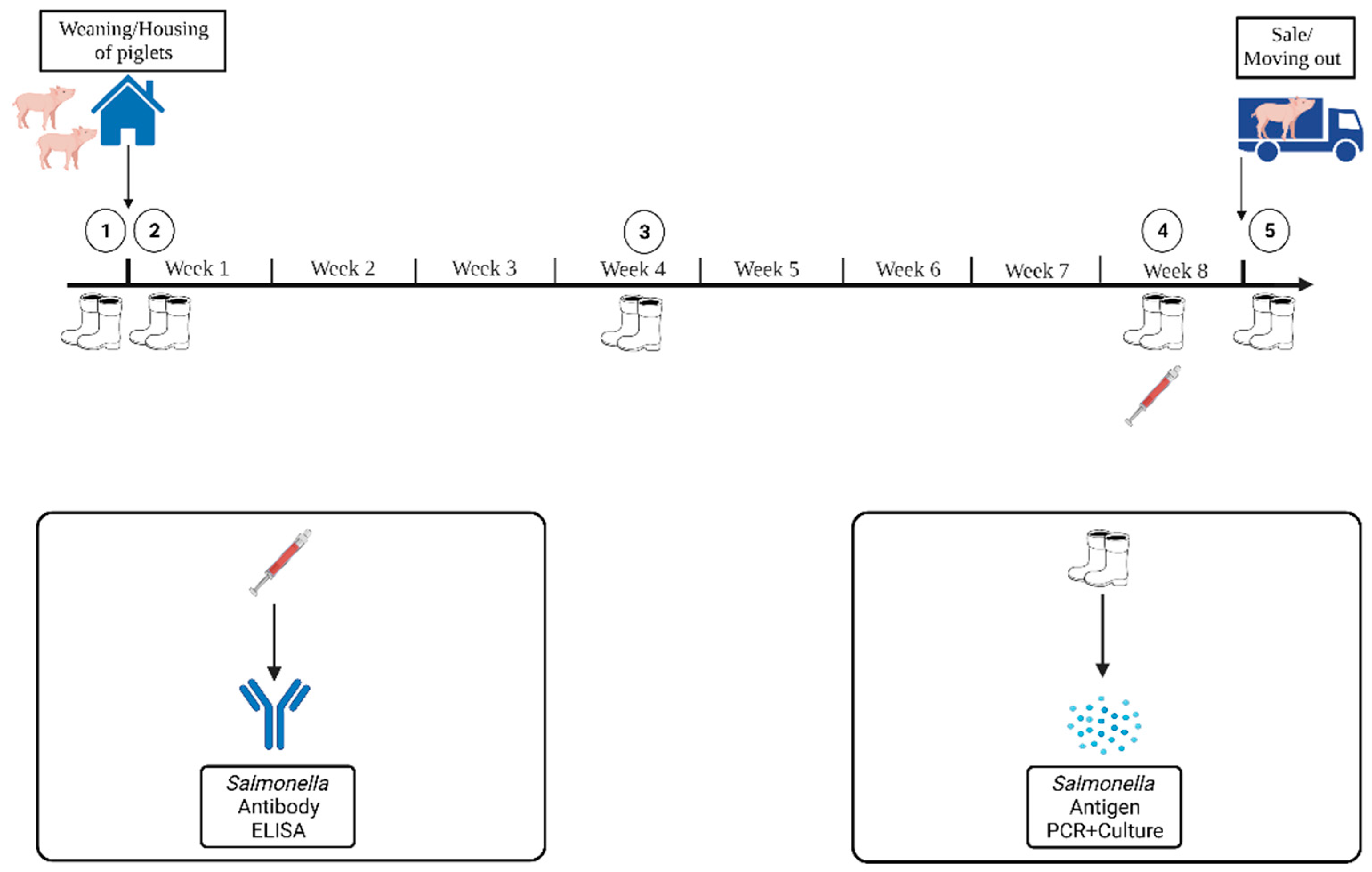 Animals 13 02262 g003