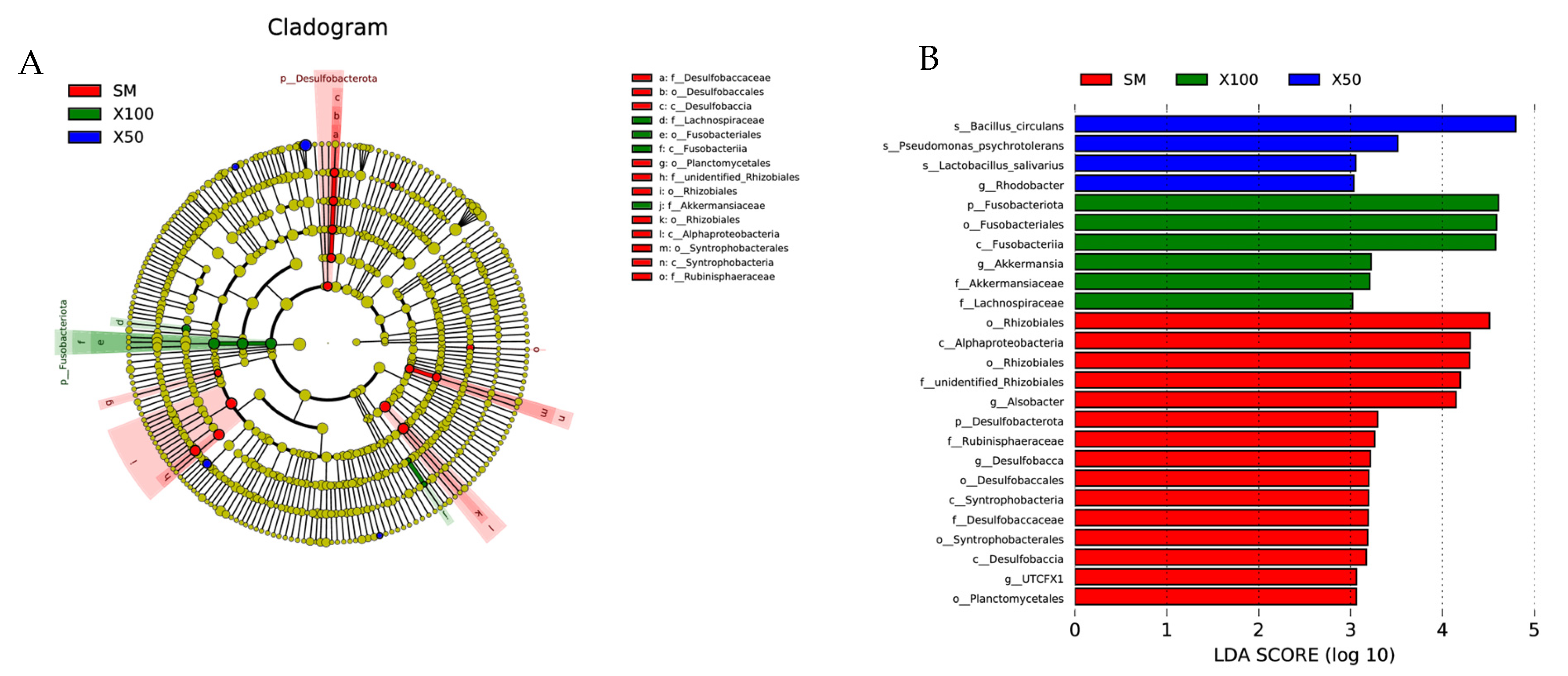 Animals 13 02274 g008 Animals 13 02274 g008