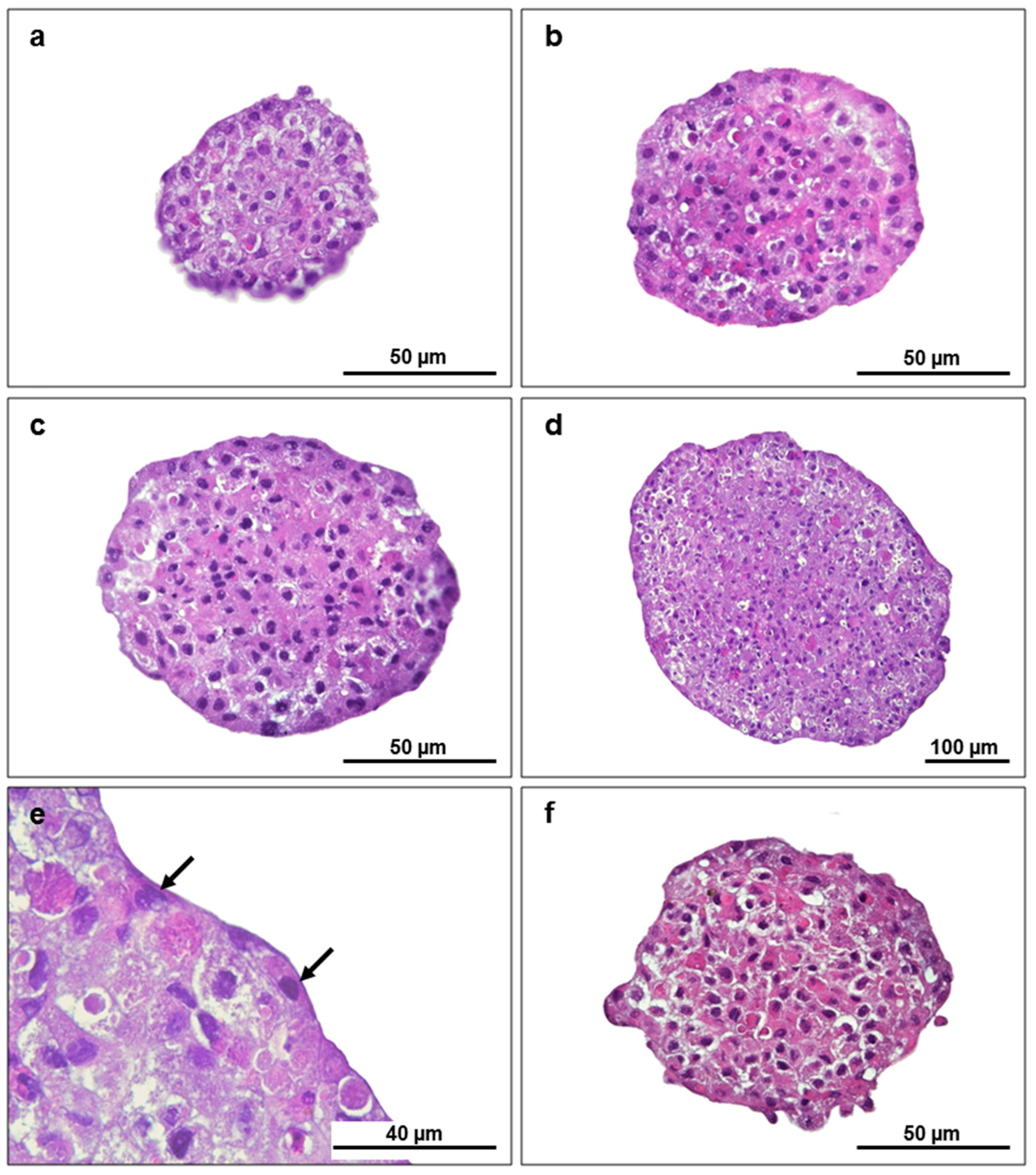 Animals 13 02277 g003