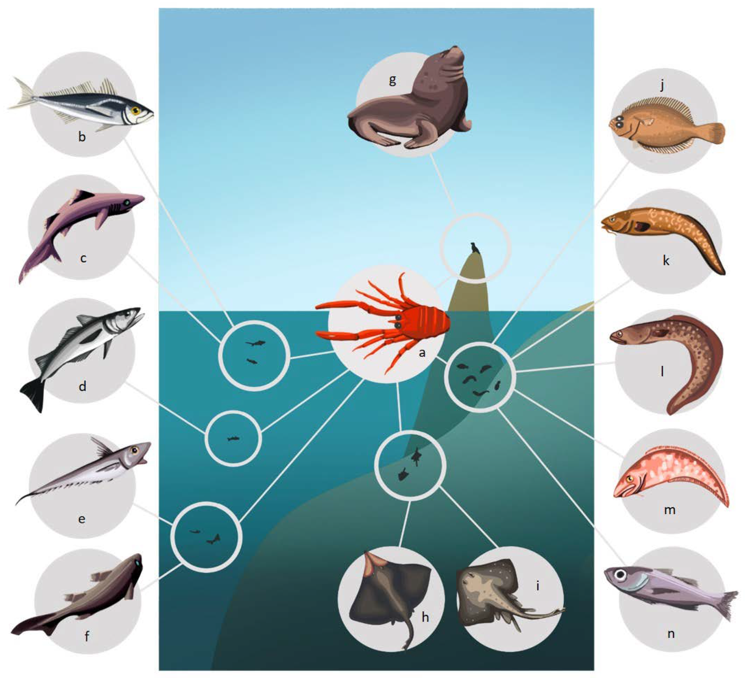 Animals 13 02279 g003