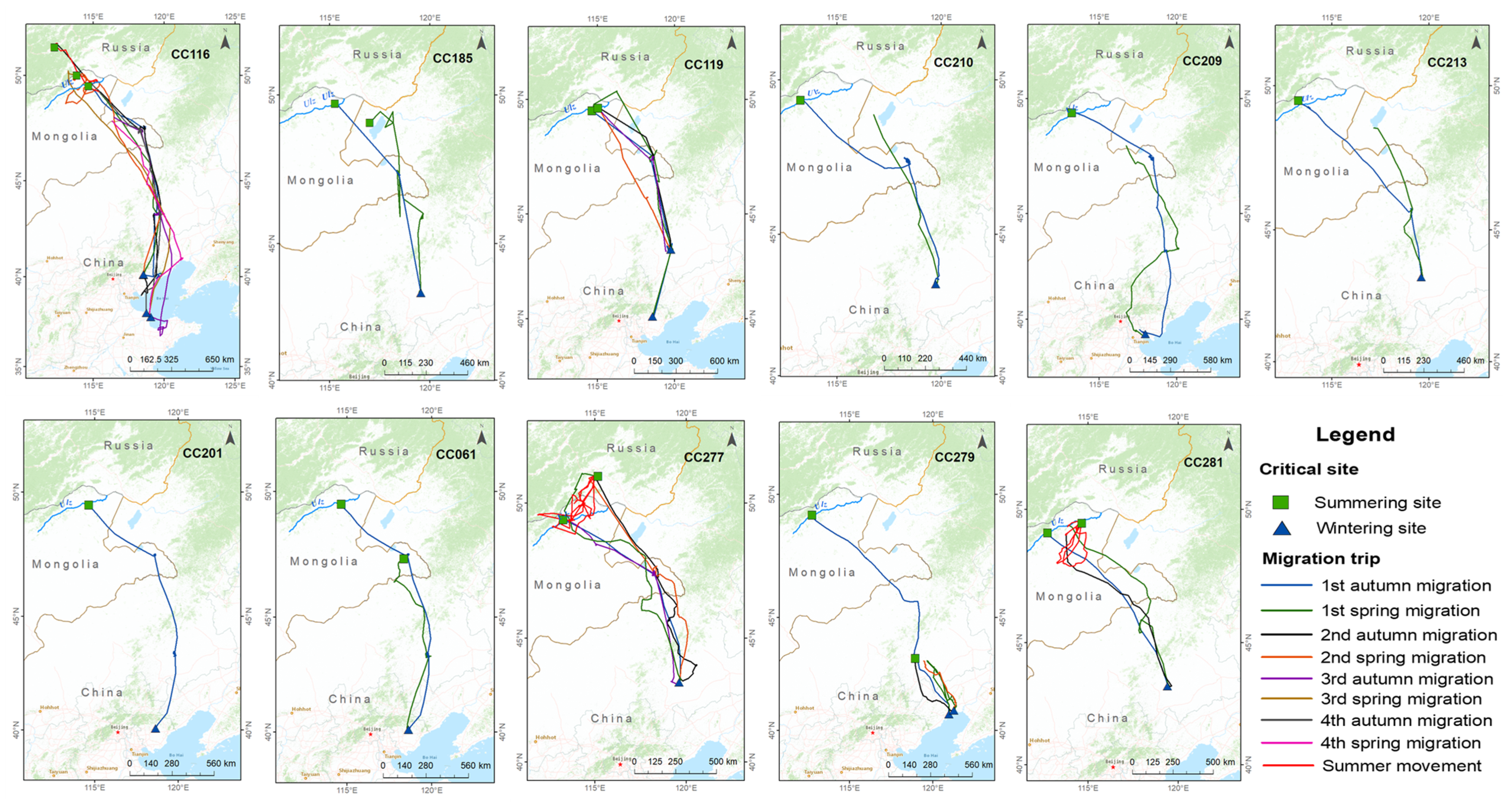 Animals 13 02287 g001 Animals 13 02287 g001