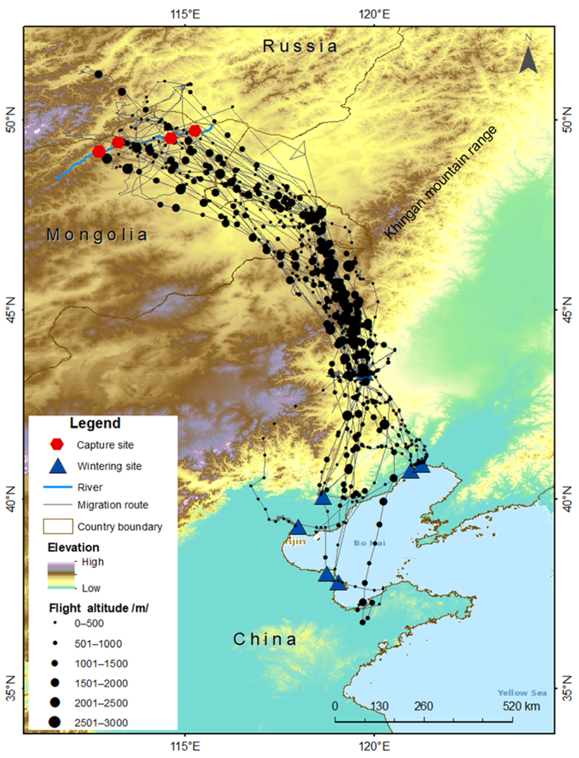 Animals 13 02287 g004 Animals 13 02287 g004