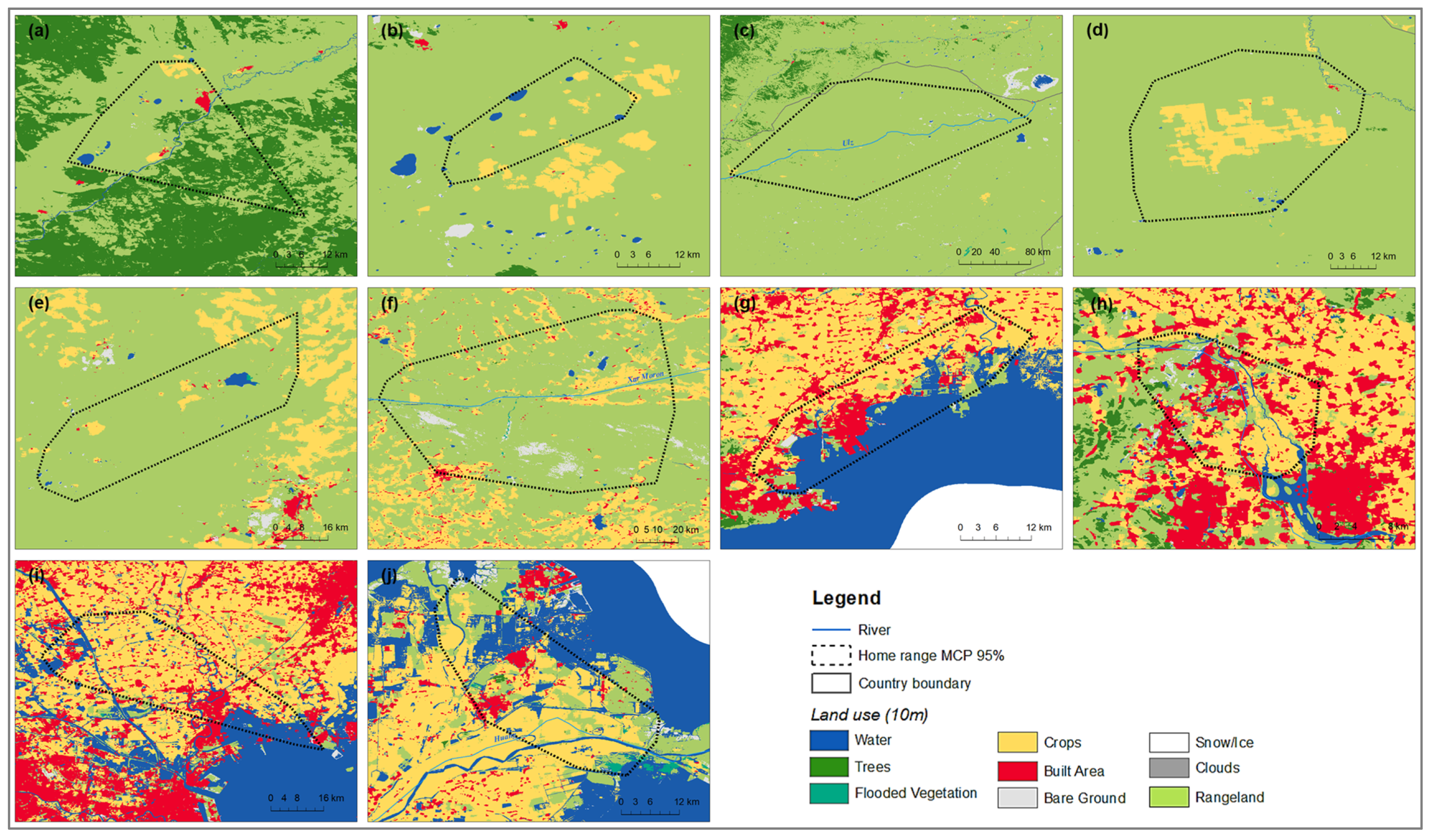 Animals 13 02287 g007 Animals 13 02287 g007