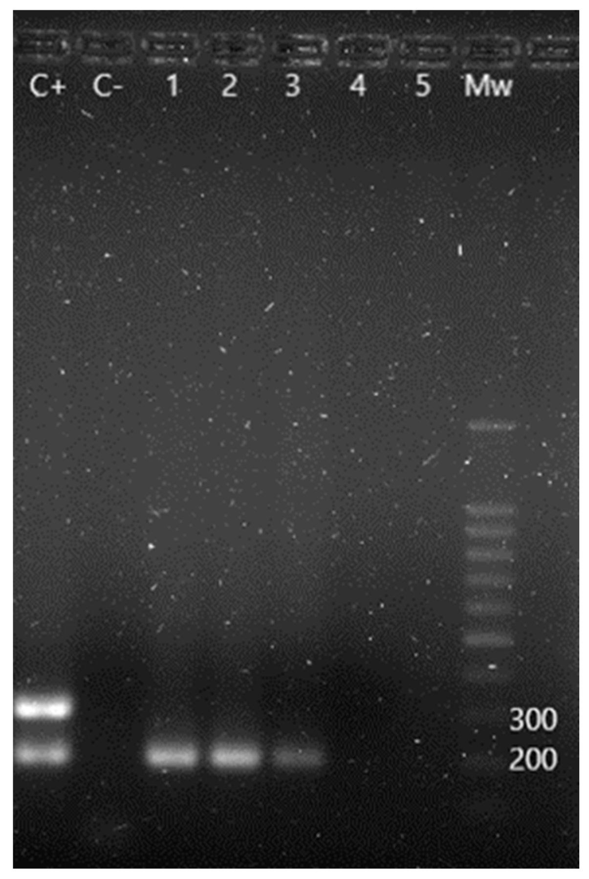 Animals 13 02288 g003 Animals 13 02288 g003