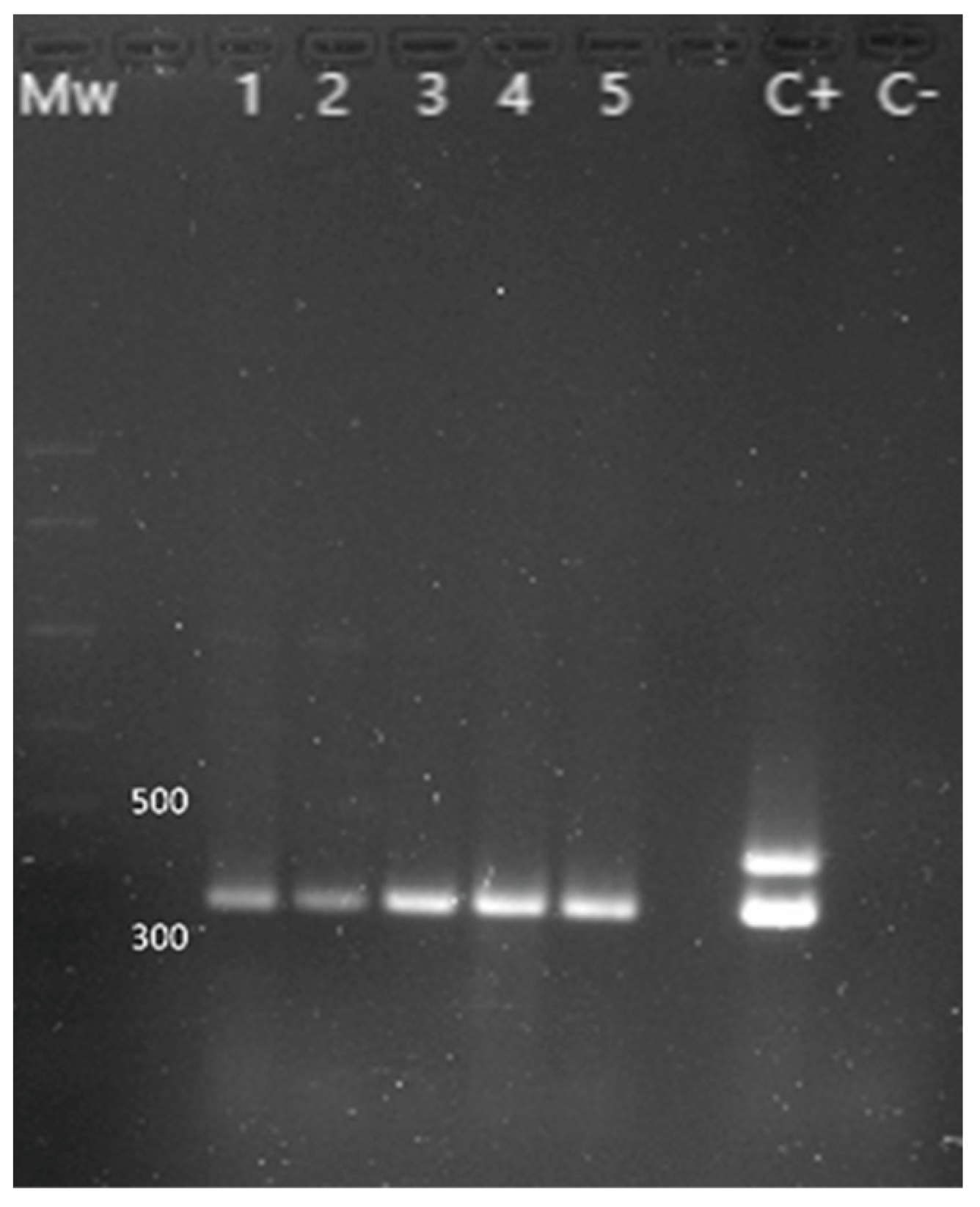 Animals 13 02288 g004 Animals 13 02288 g004