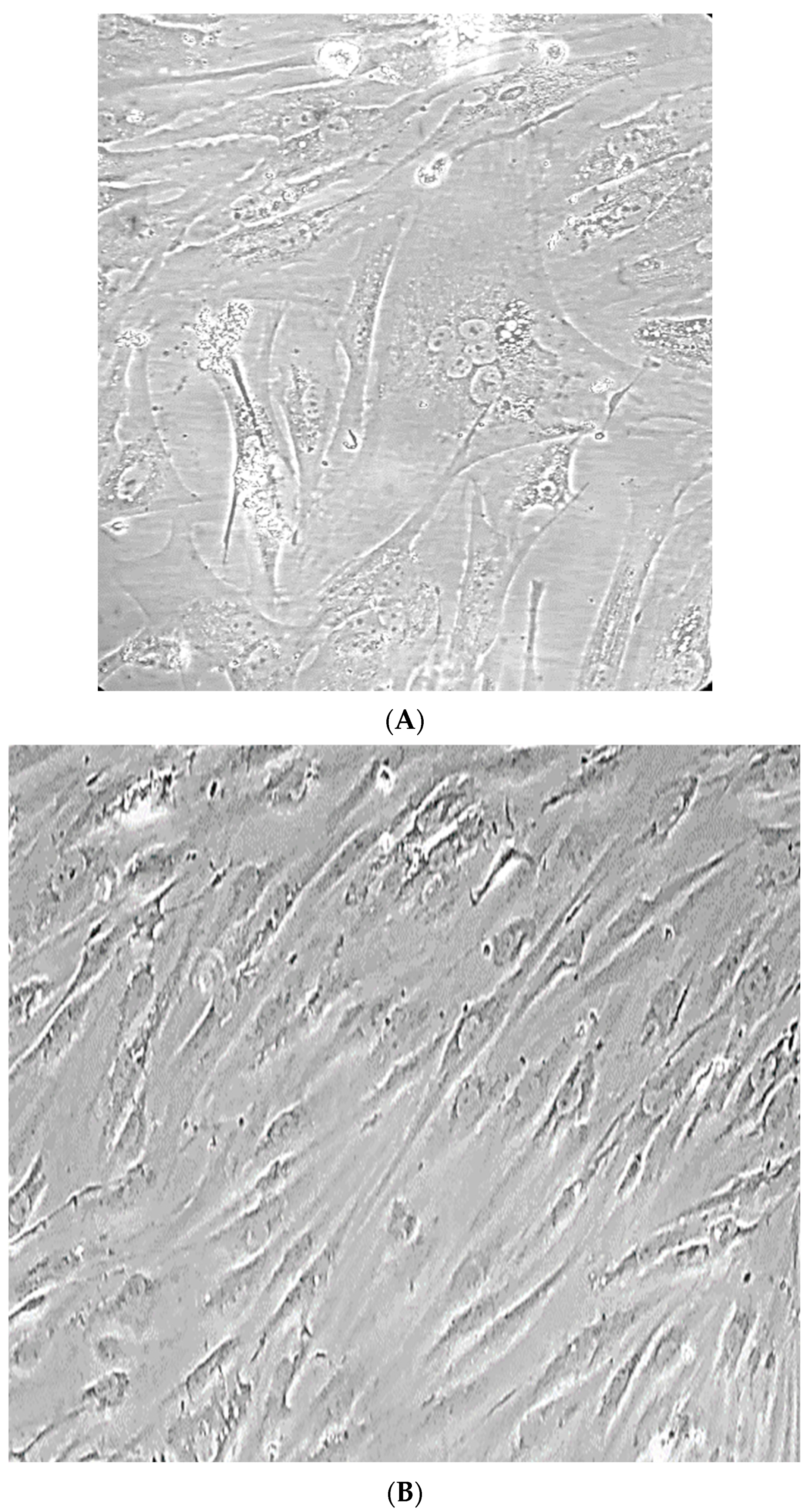 Animals 13 02290 g003