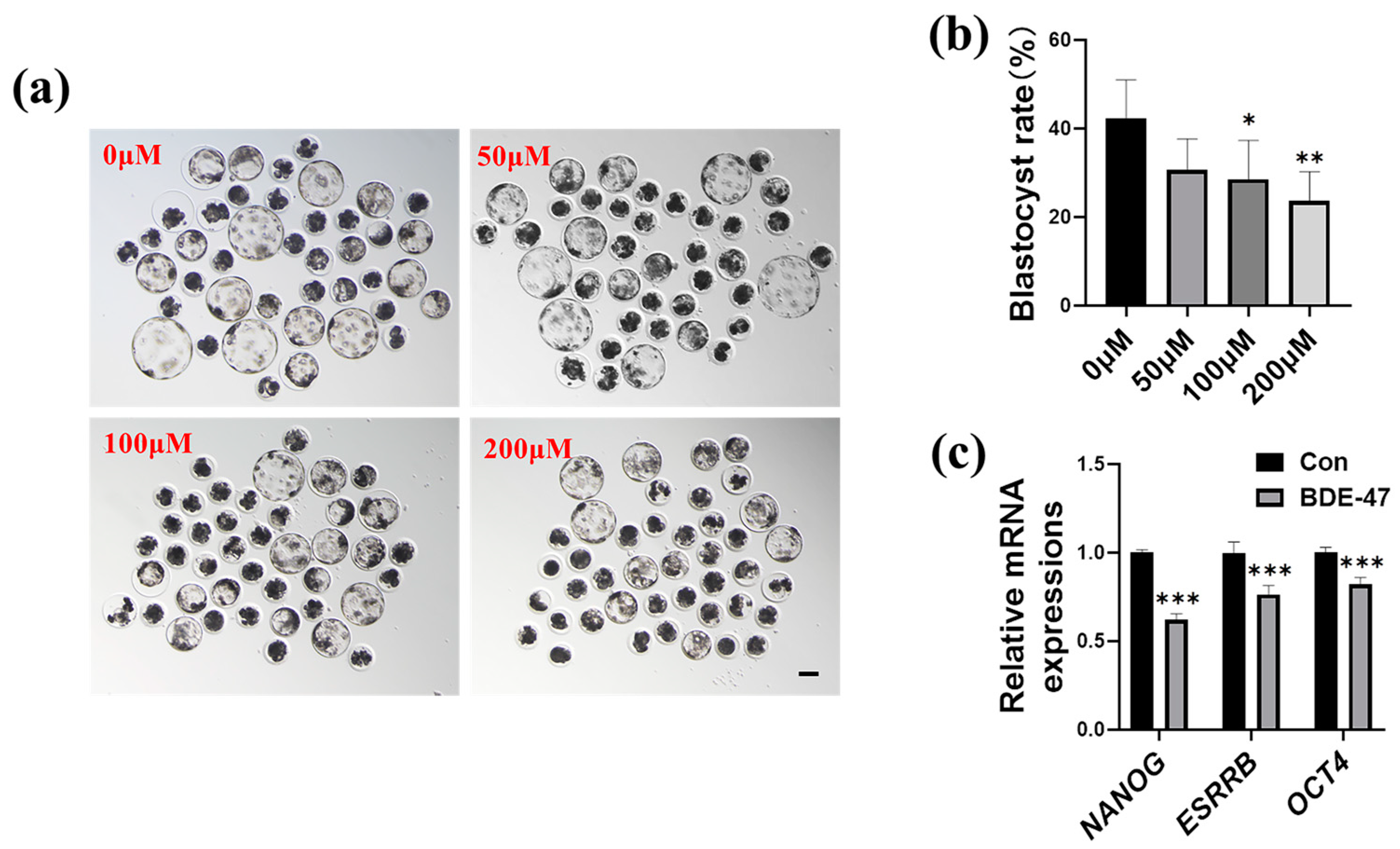 Animals 13 02291 g001 Animals 13 02291 g001