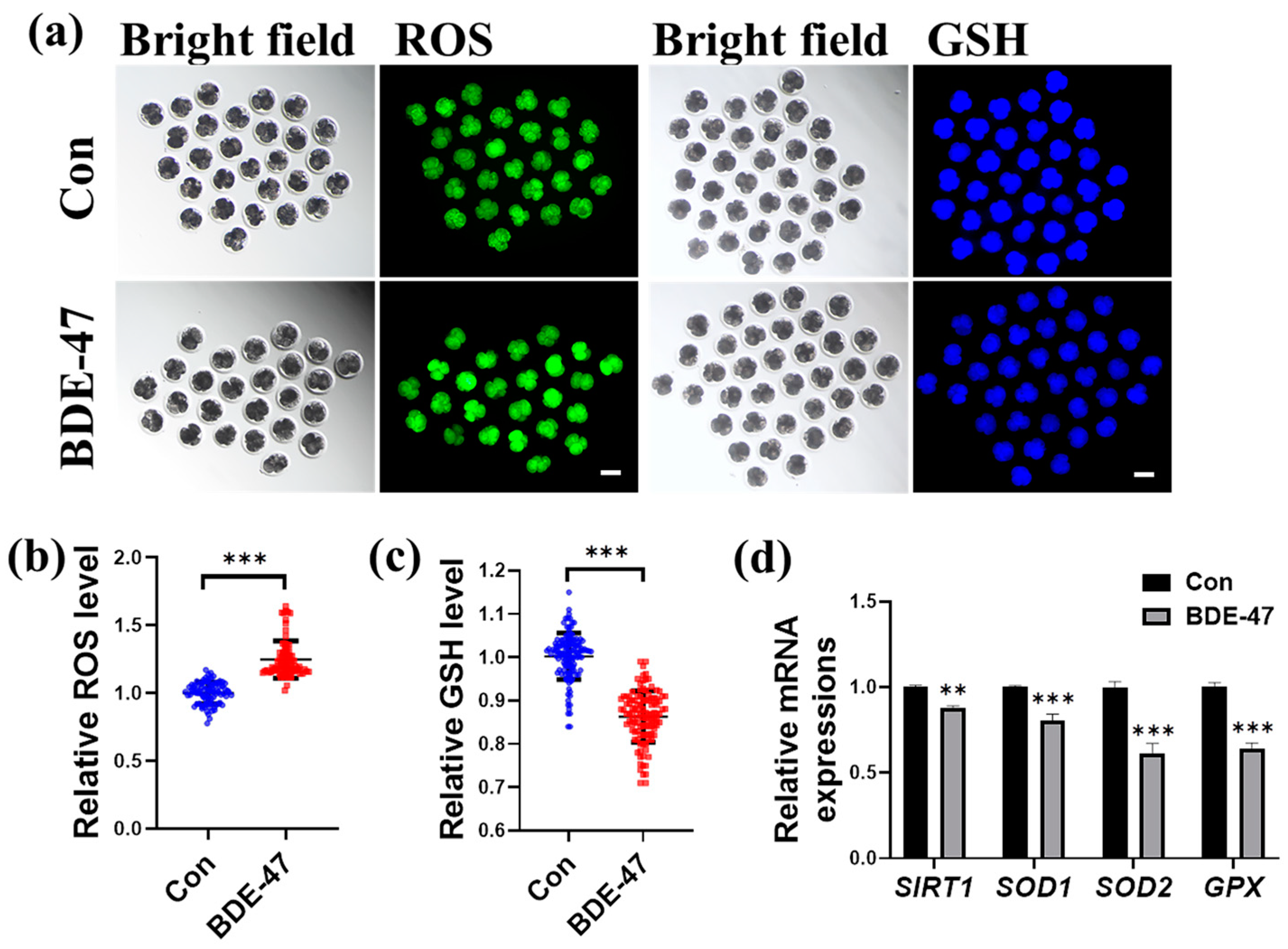 Animals 13 02291 g003 Animals 13 02291 g003