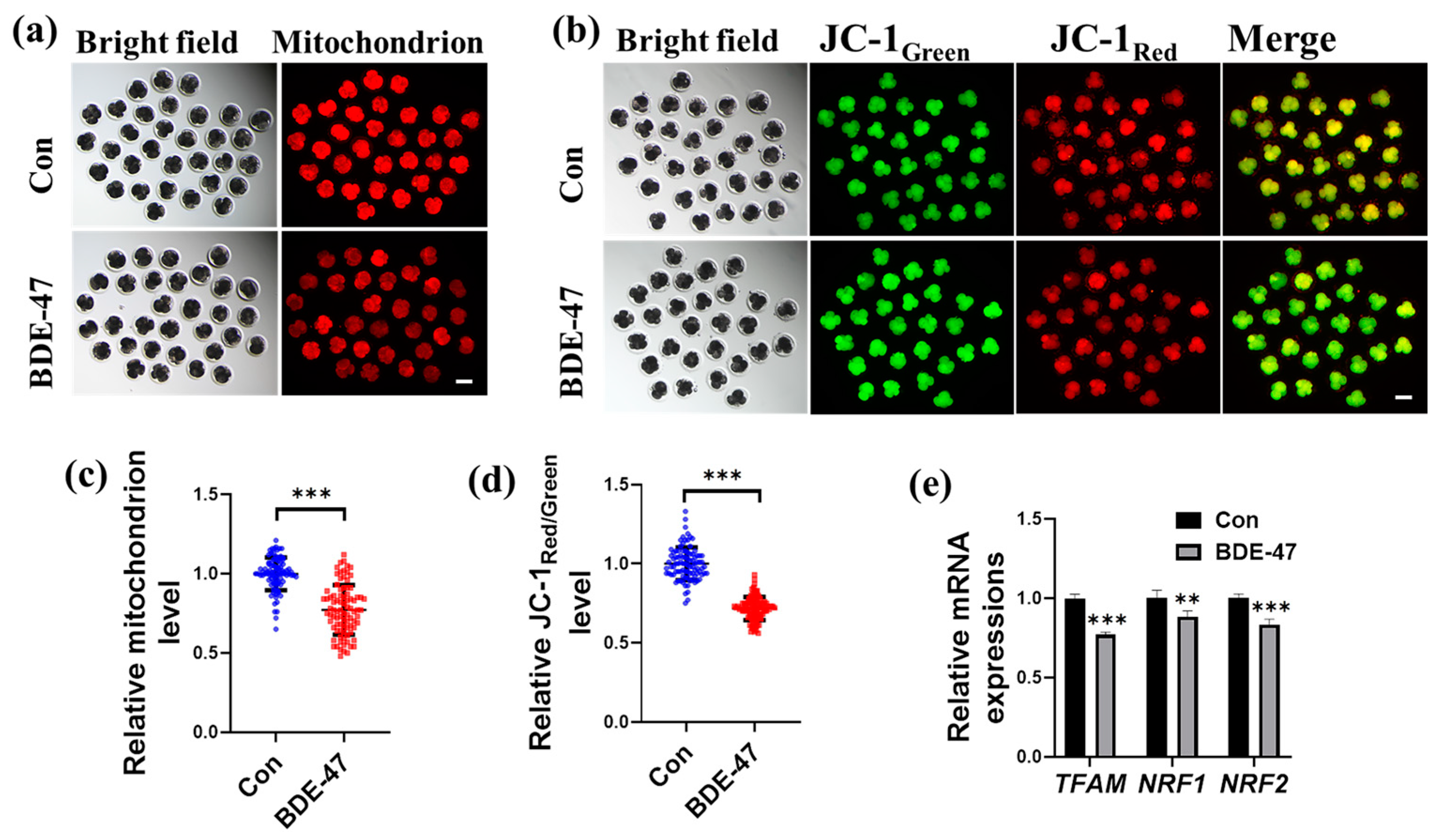 Animals 13 02291 g004 Animals 13 02291 g004