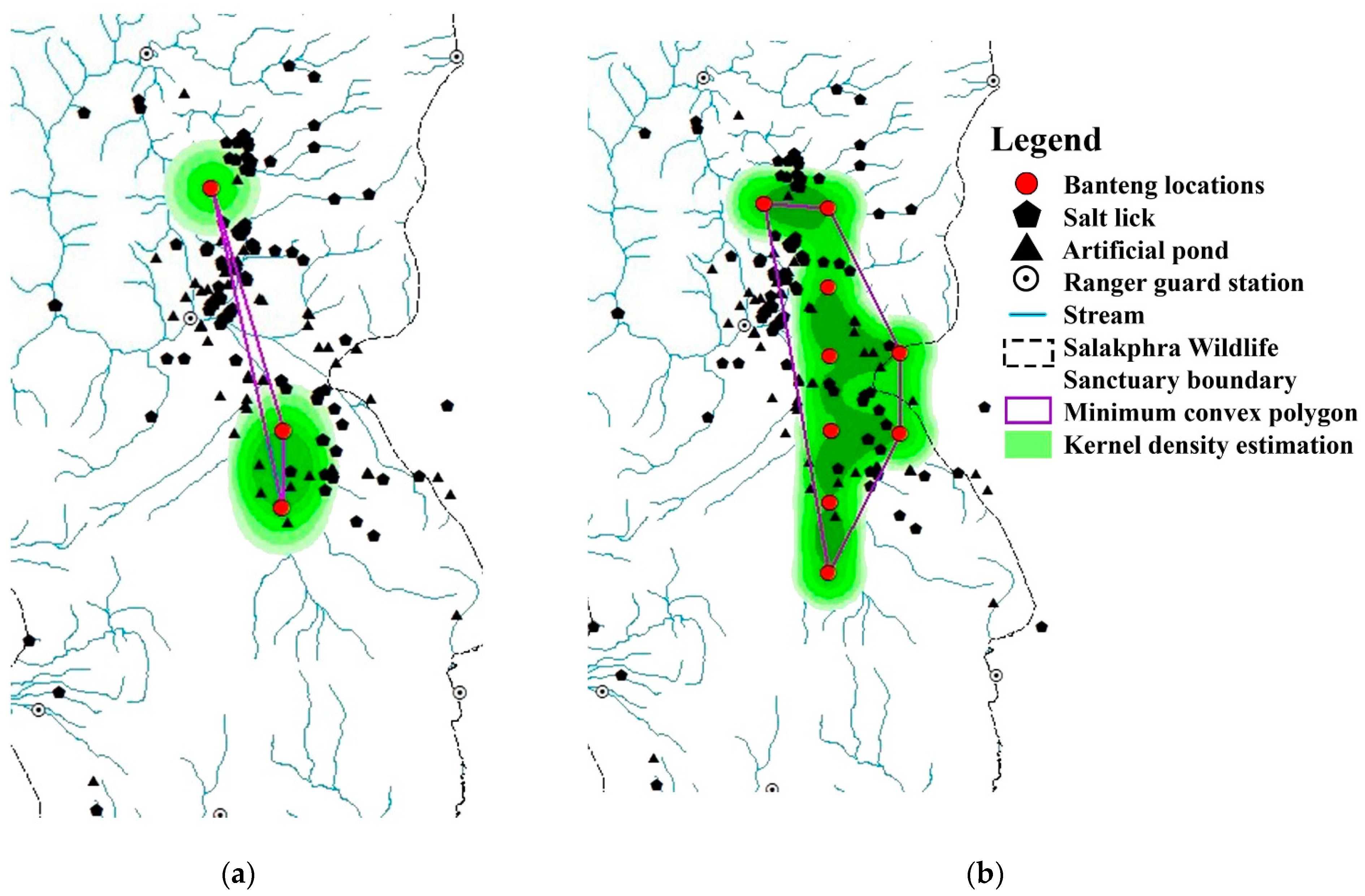 Animals 13 02293 g006