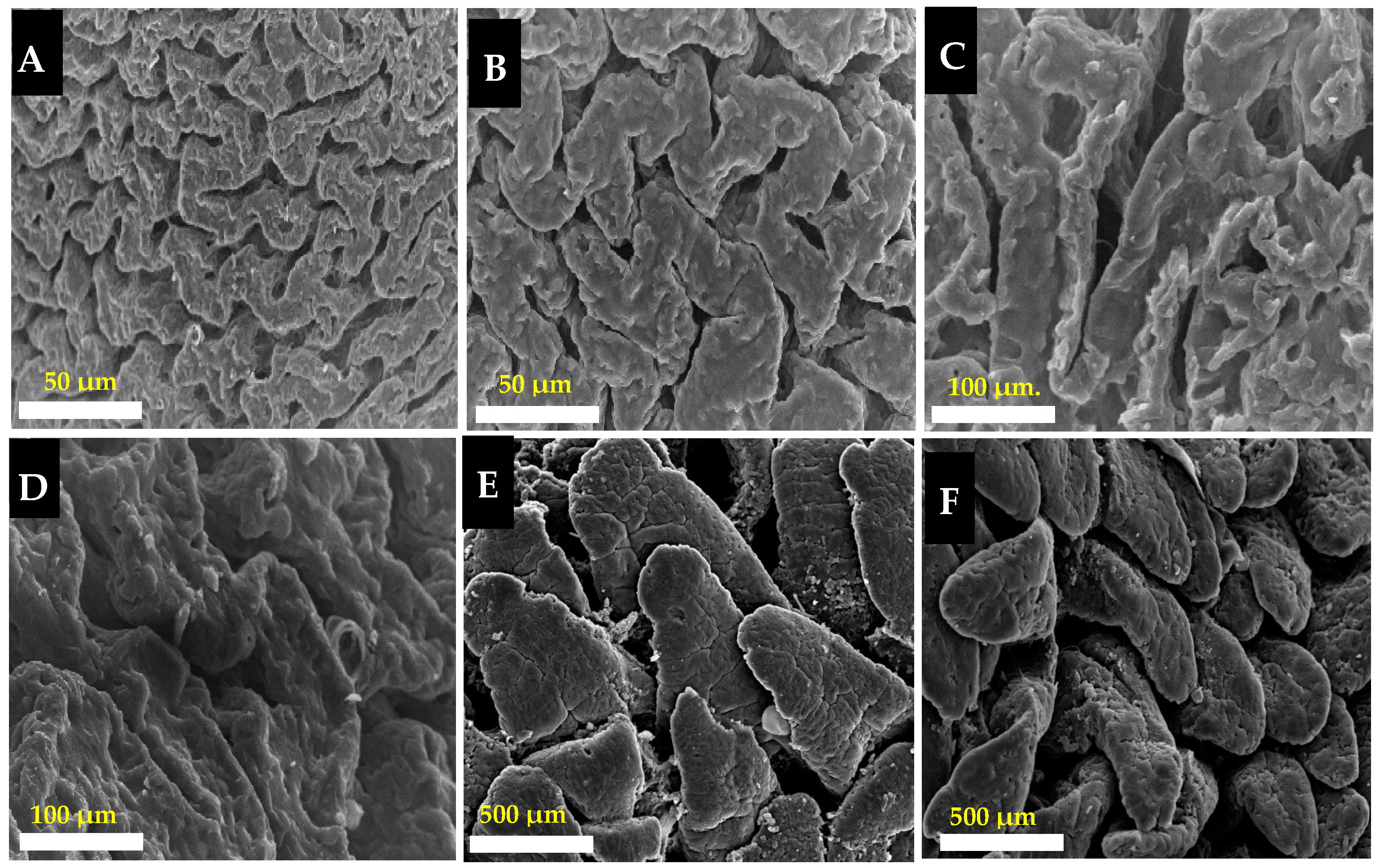 Animals 13 02294 g003