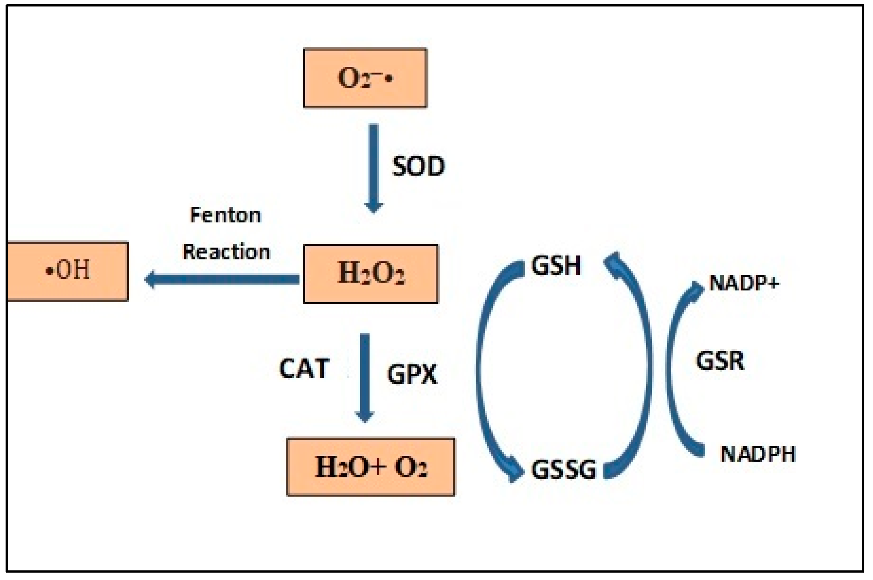 Animals 13 02300 g002
