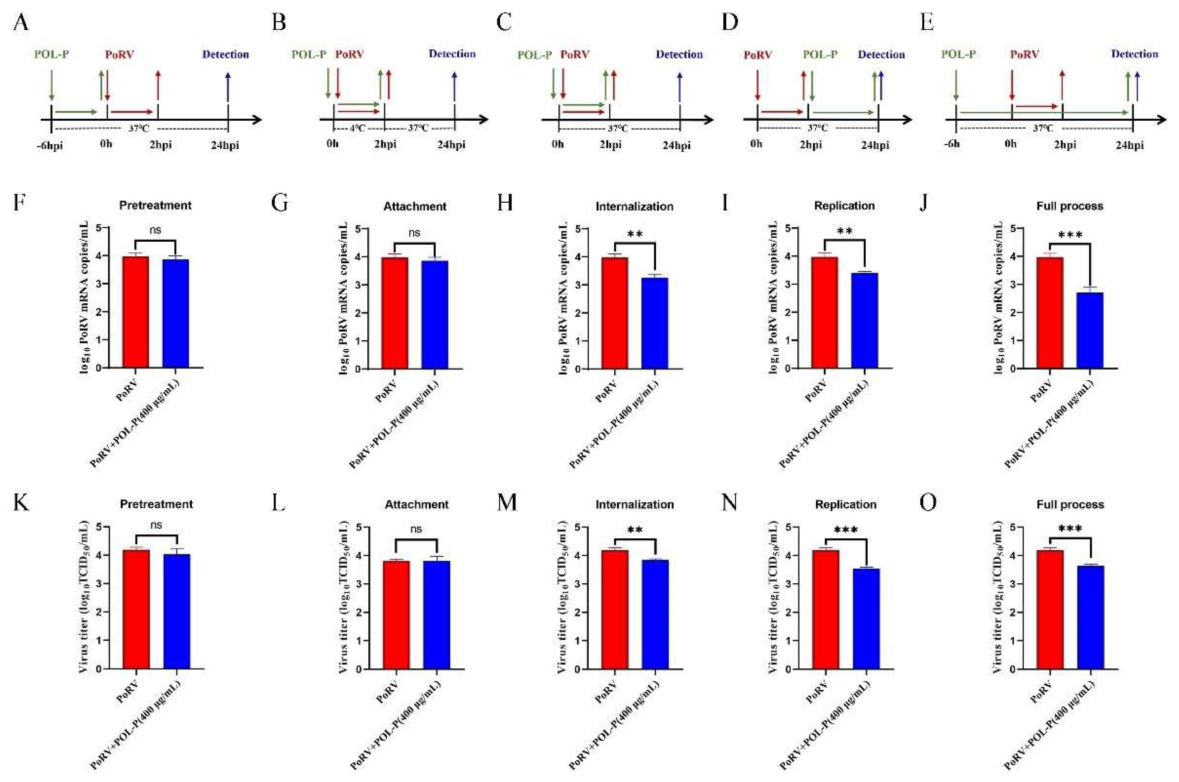 Animals 13 02306 g003 Animals 13 02306 g003