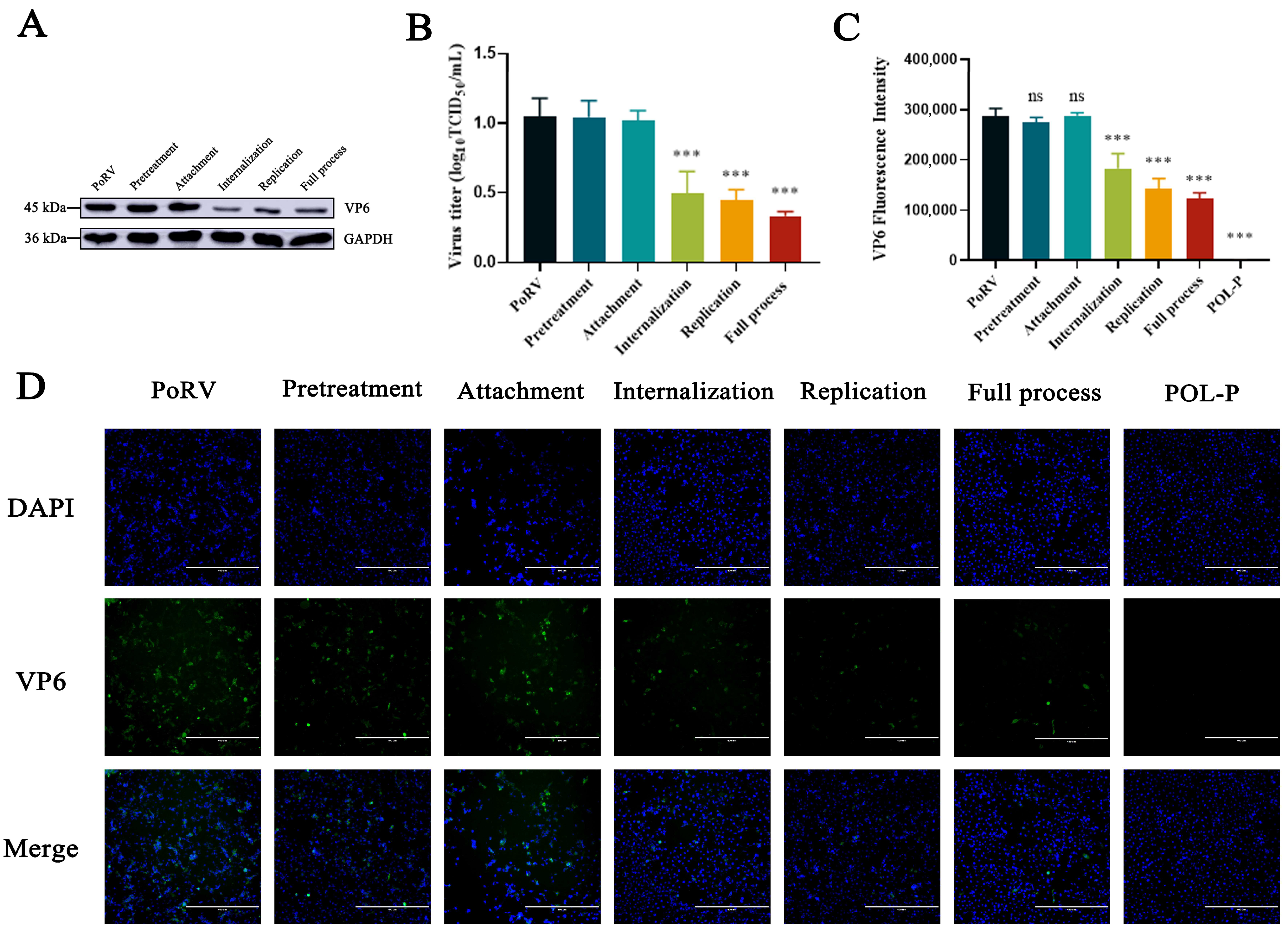 Animals 13 02306 g004 Animals 13 02306 g004