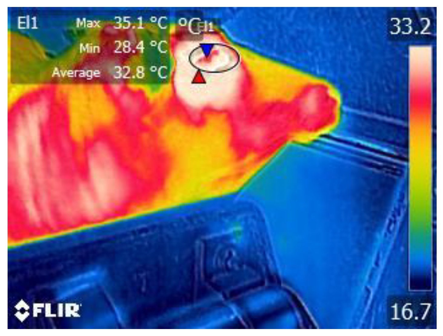 Animals 13 02311 g001 Animals 13 02311 g001