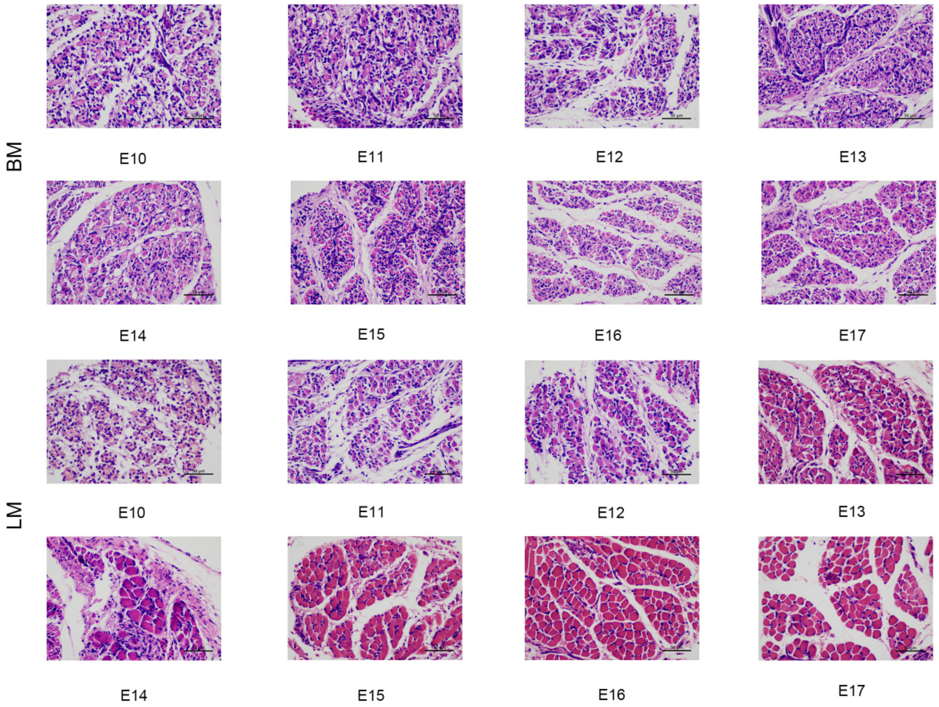 Animals 13 02317 g002 Animals 13 02317 g002